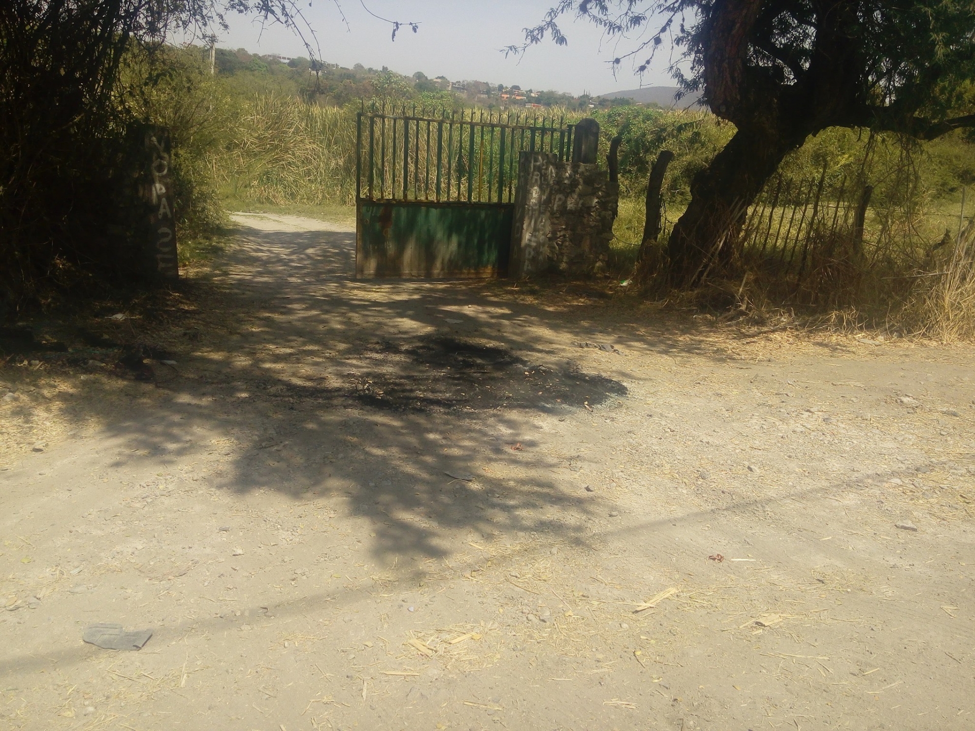 Hallan un cadáver calcinado en Tlaltizapán