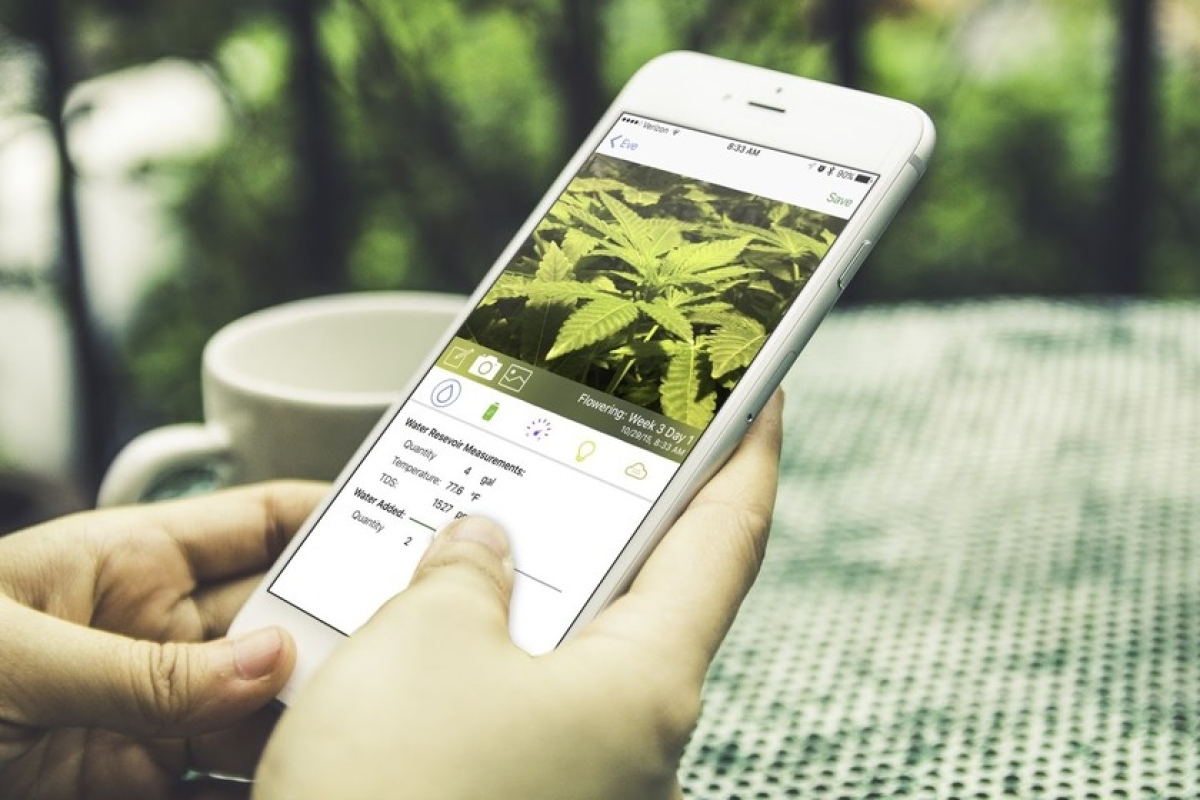 Twitter permitirá anuncios de empresas de cannabis