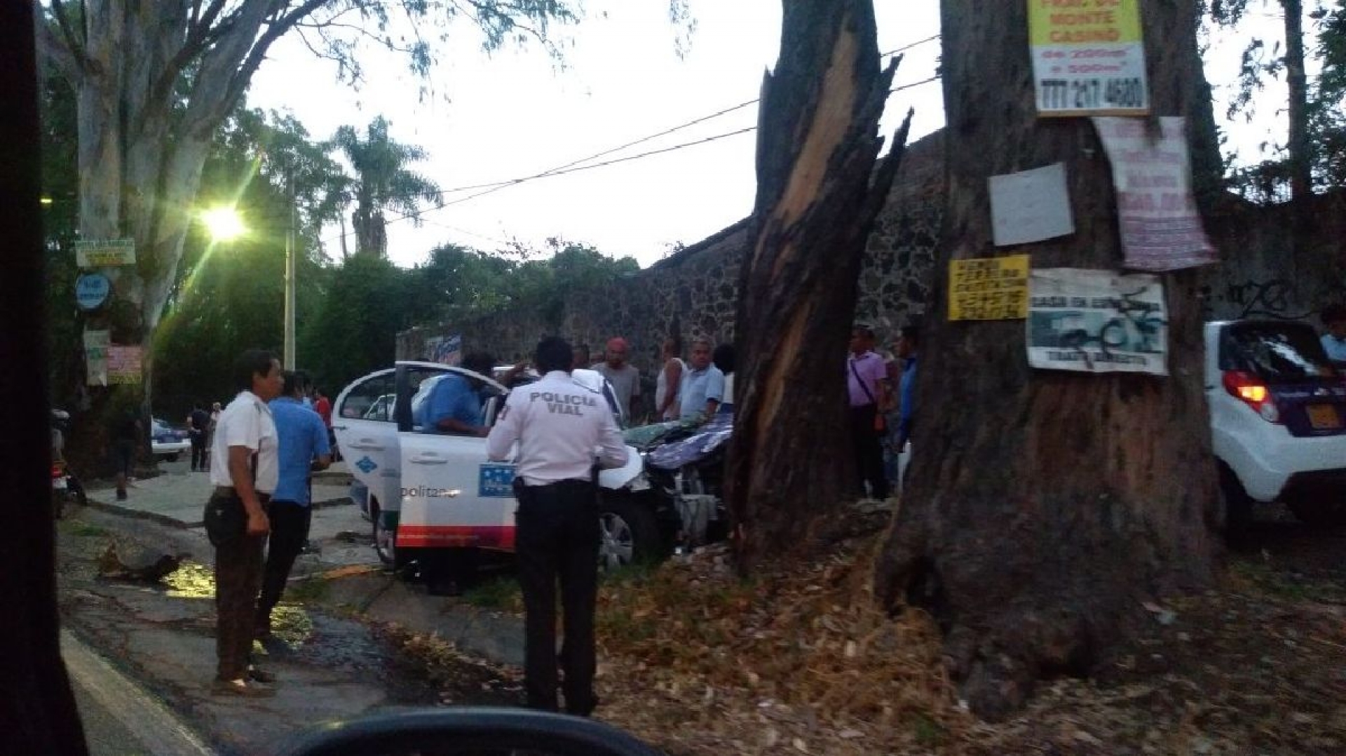 Cae rama sobre un taxi; hay tres lesionados