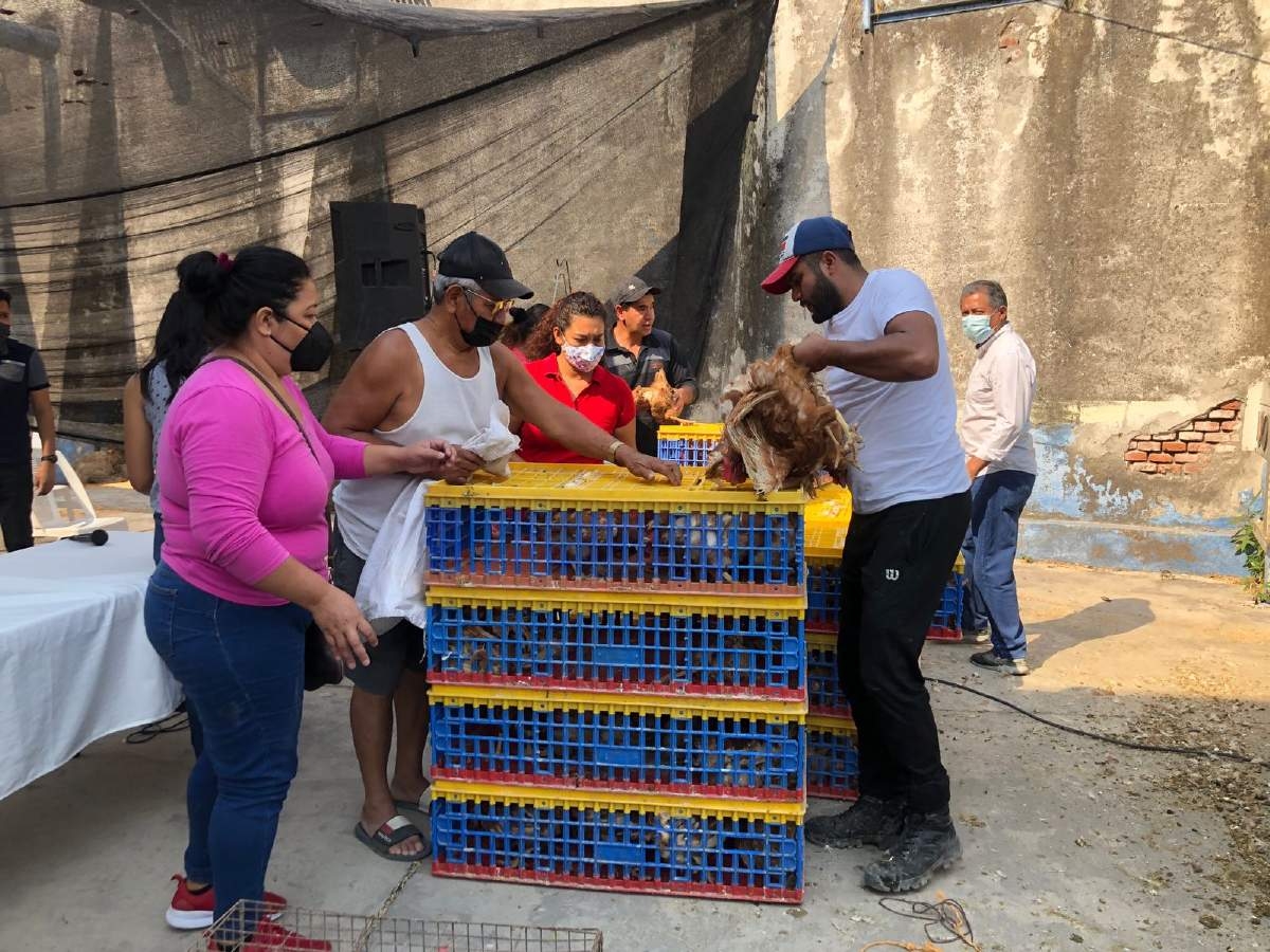 Entregan 140 paquetes de gallinas de postura a bajo costo