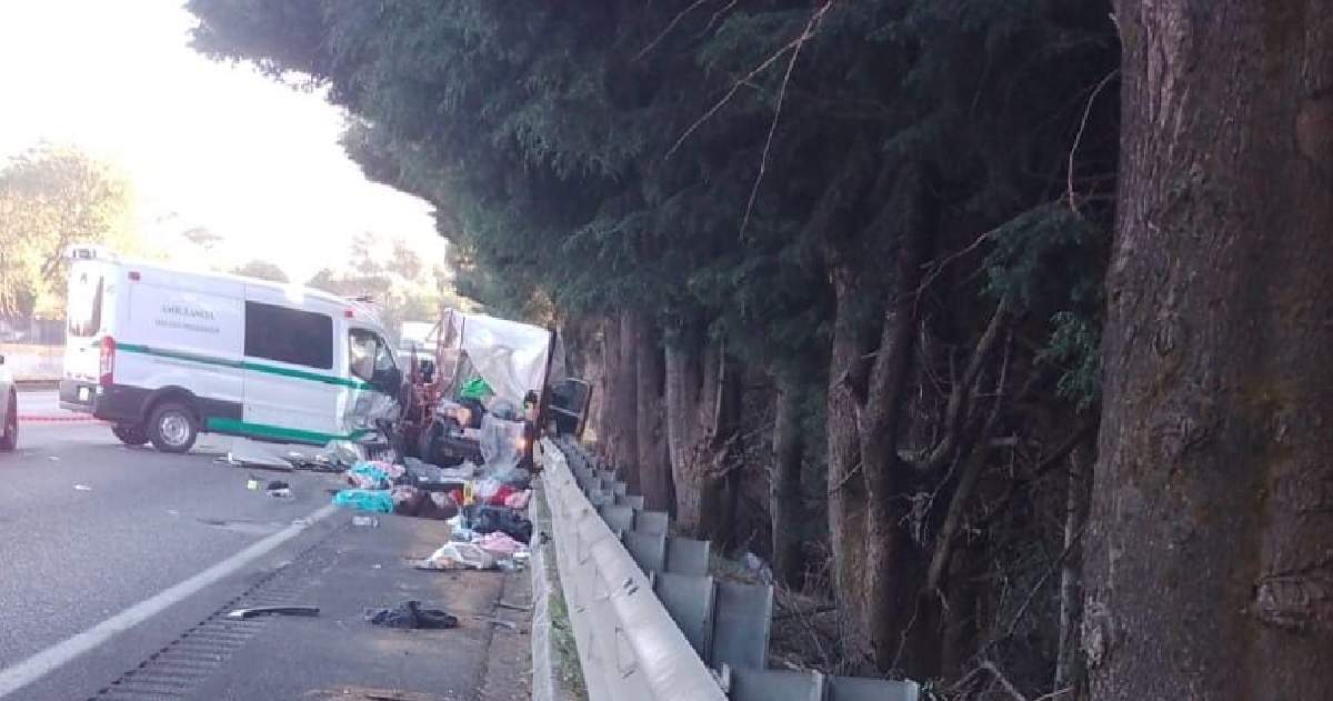 ¡Tragedia en la autopista!