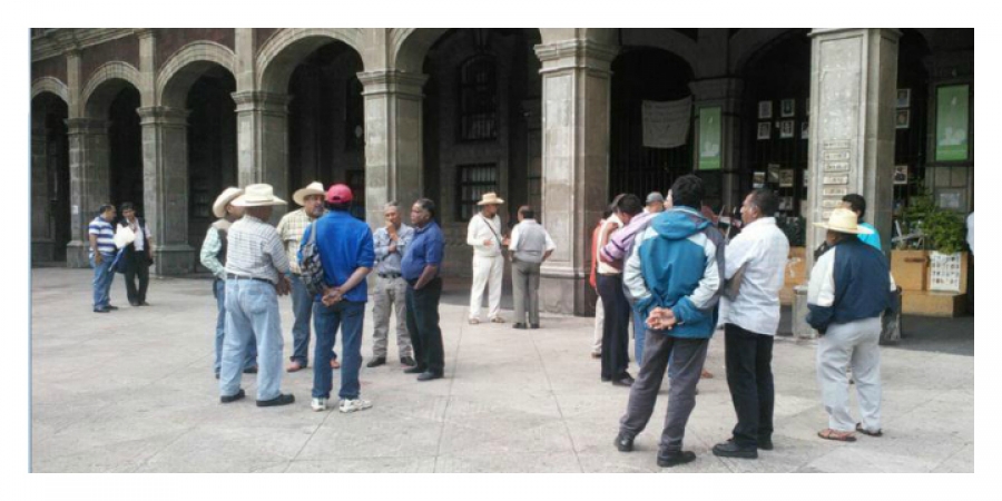 Productores de arroz solicitan la intervención del gobierno estatal para recuperar molinos y bodega