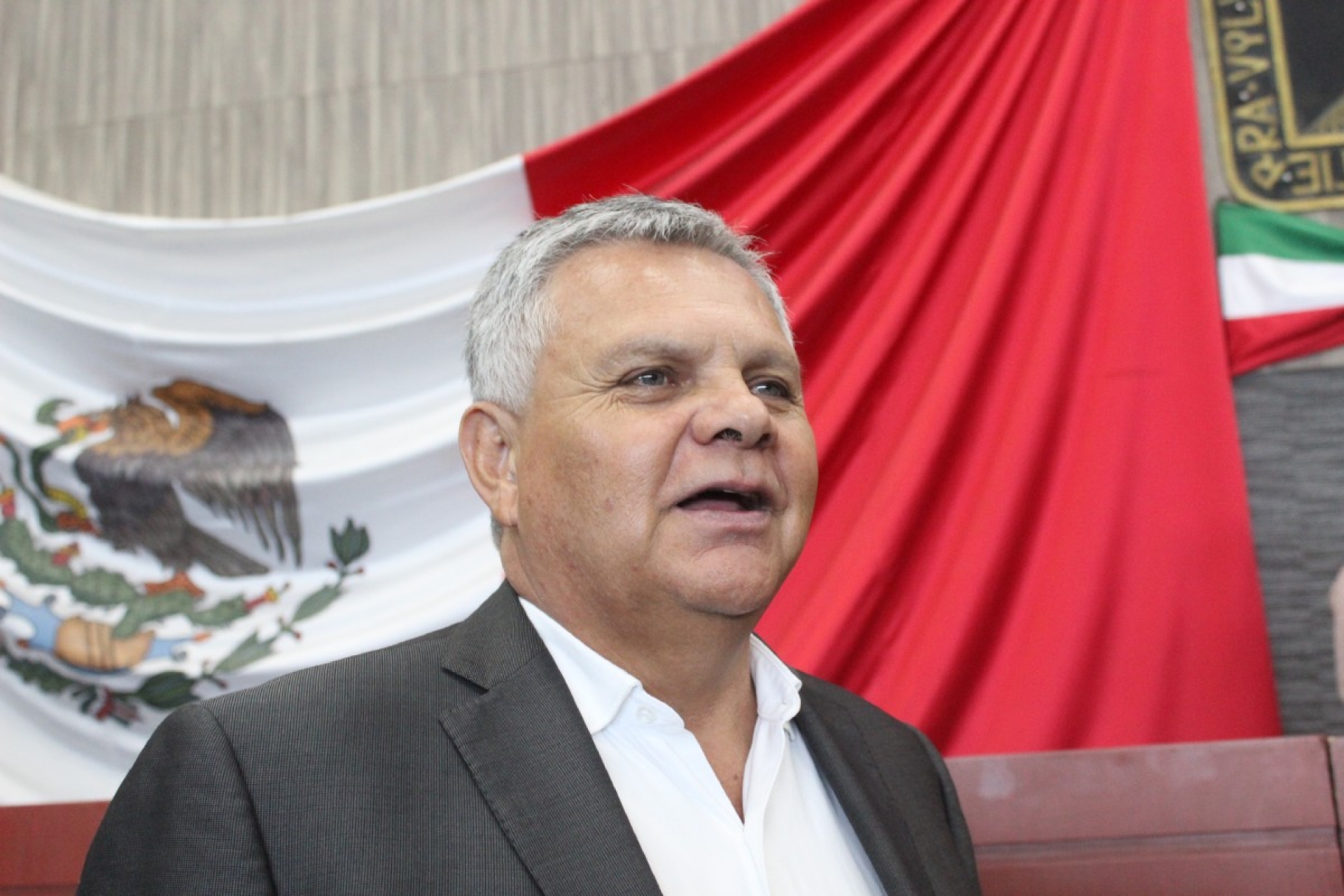 Sí incluirán en la ley la revocación de mandato