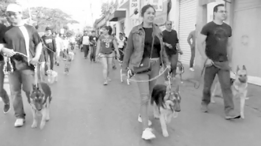 Anuncian la tercera edición del Perrotón Yautepec 2018