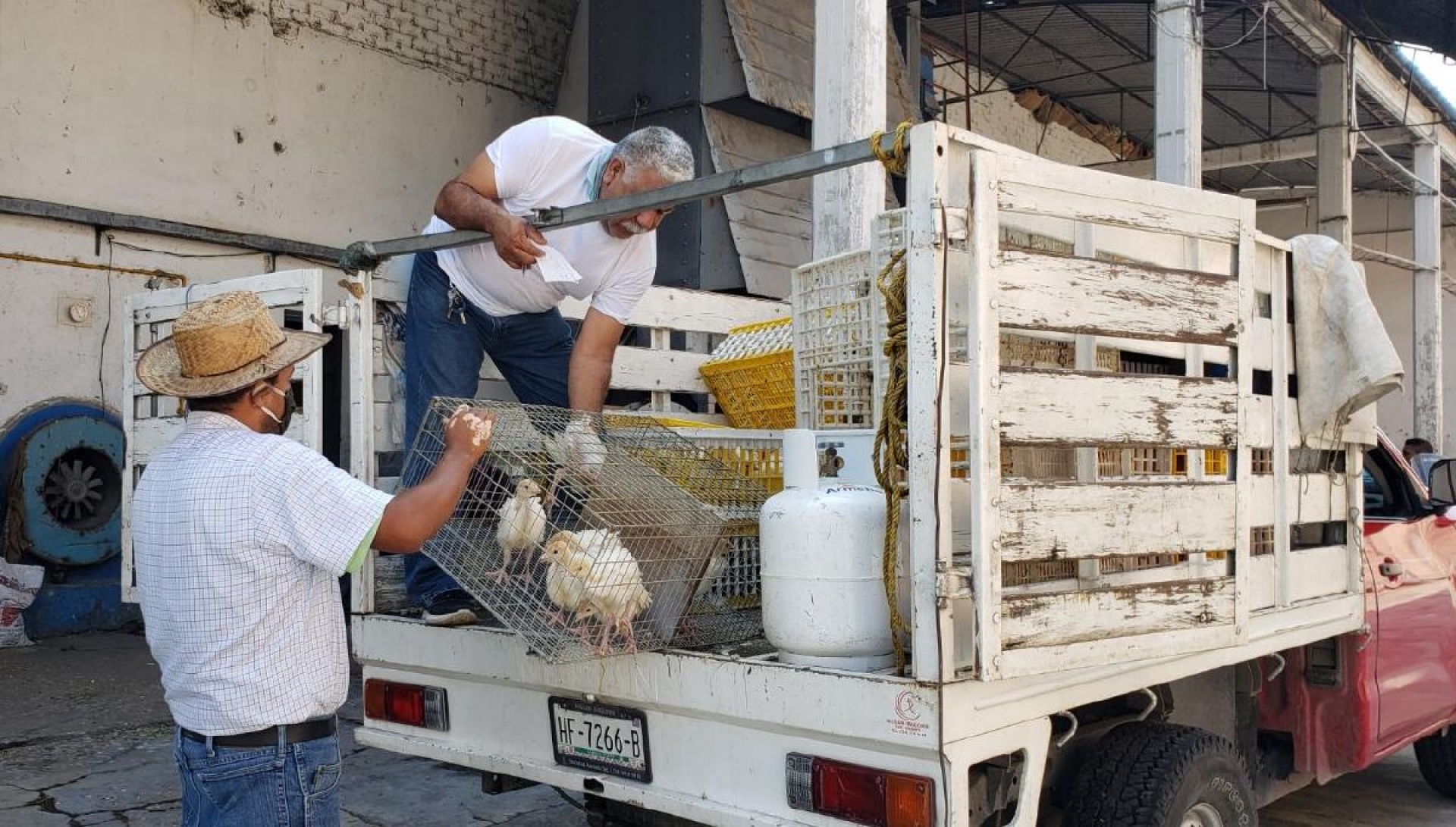 Entregan pavos a bajo costo en Jojutla