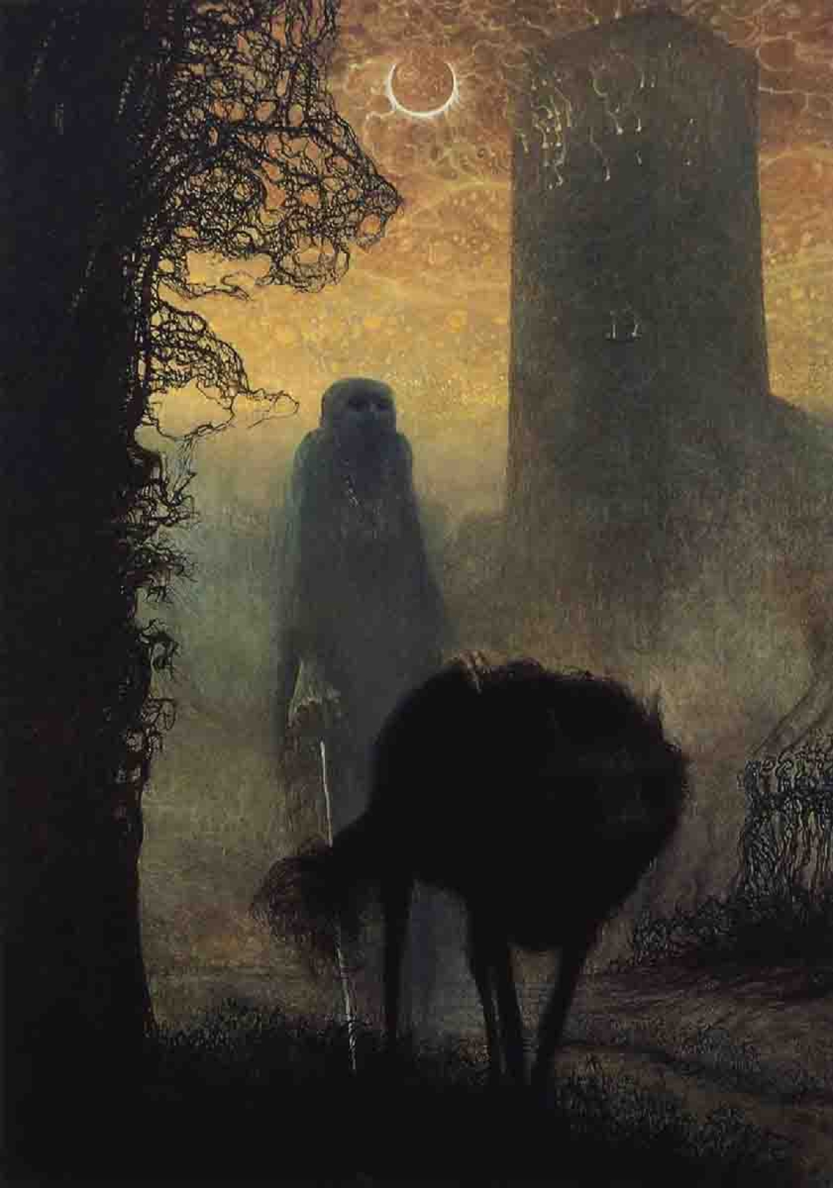 Caminata con la sombra