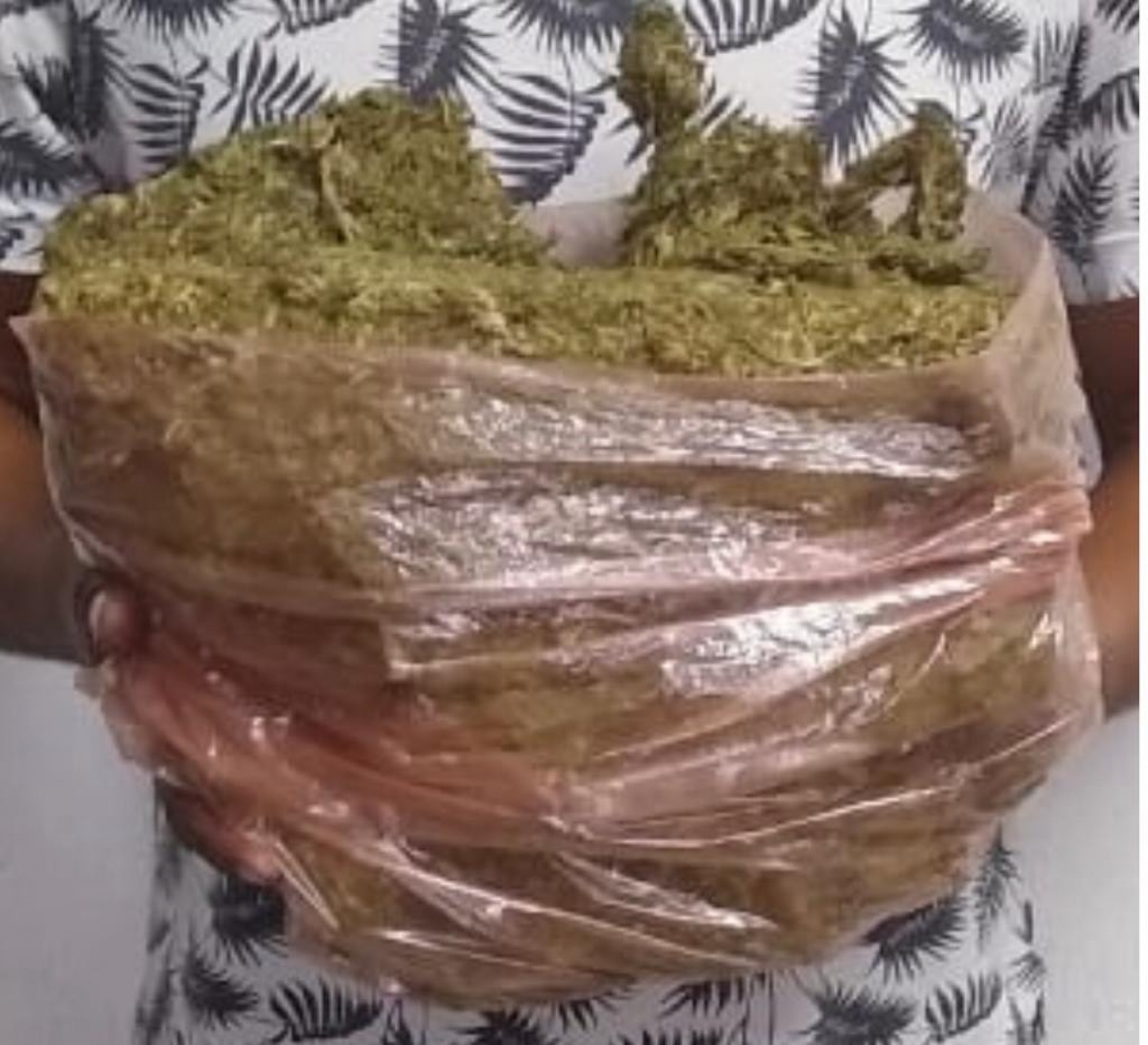 Transportaba marihuana en un vehículo