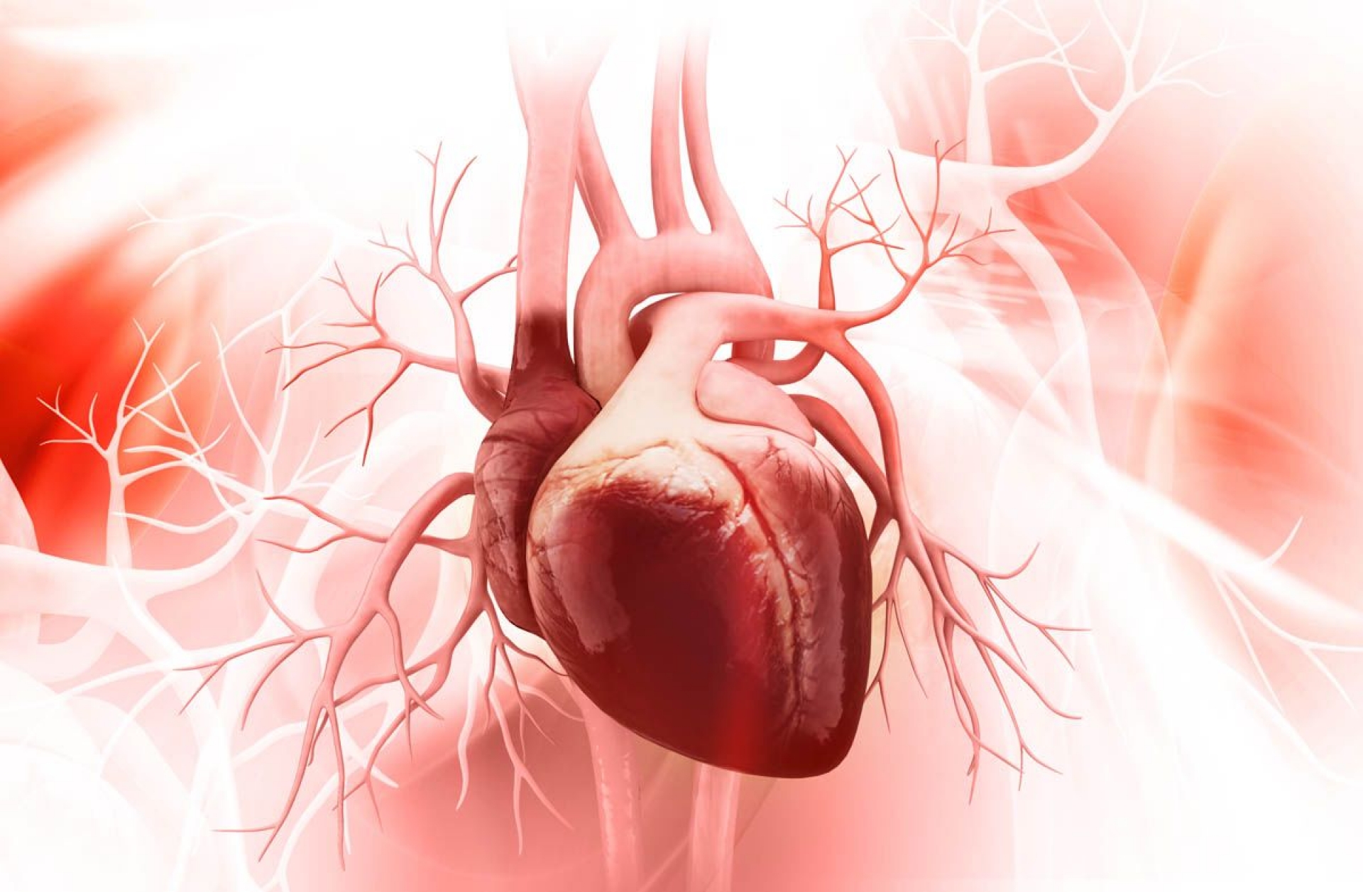 Alimentación saludable y actividad física contribuyen a la salud del corazón