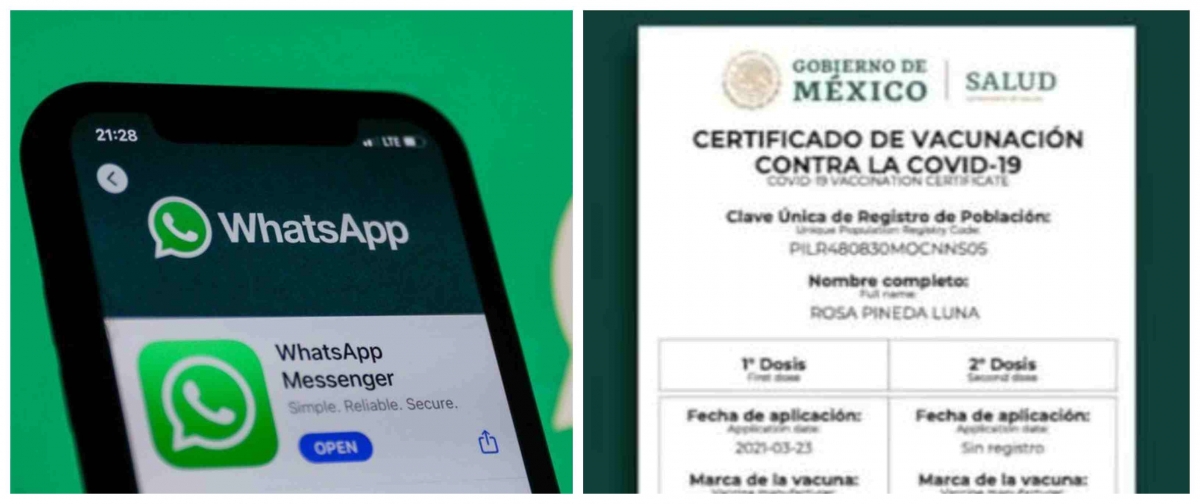 WhatsApp: Así puedes descargar tu certificado de vacunación por COVID con ayuda de la aplicación