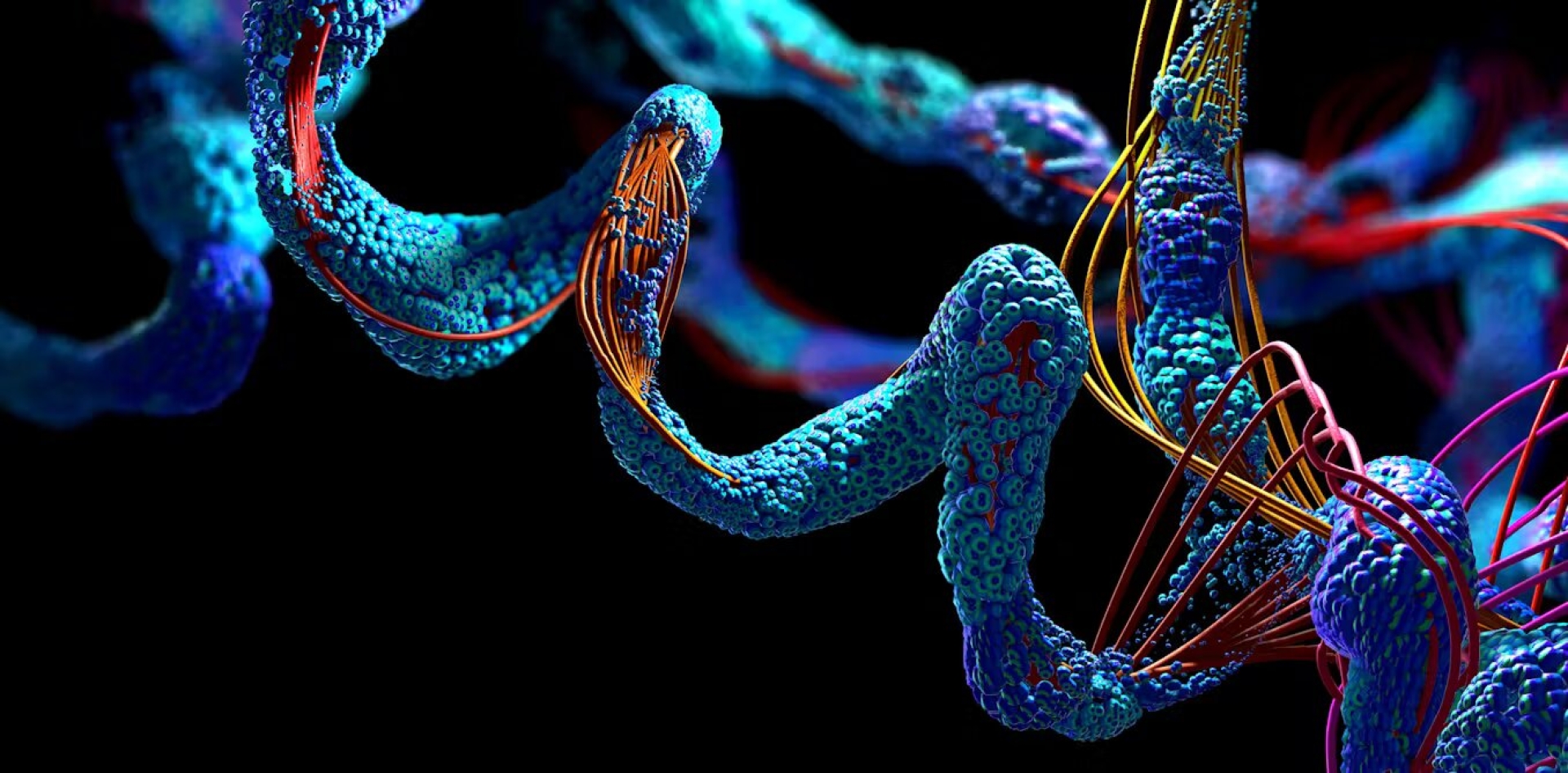 Origami molecular y el premio Nobel de química 2024