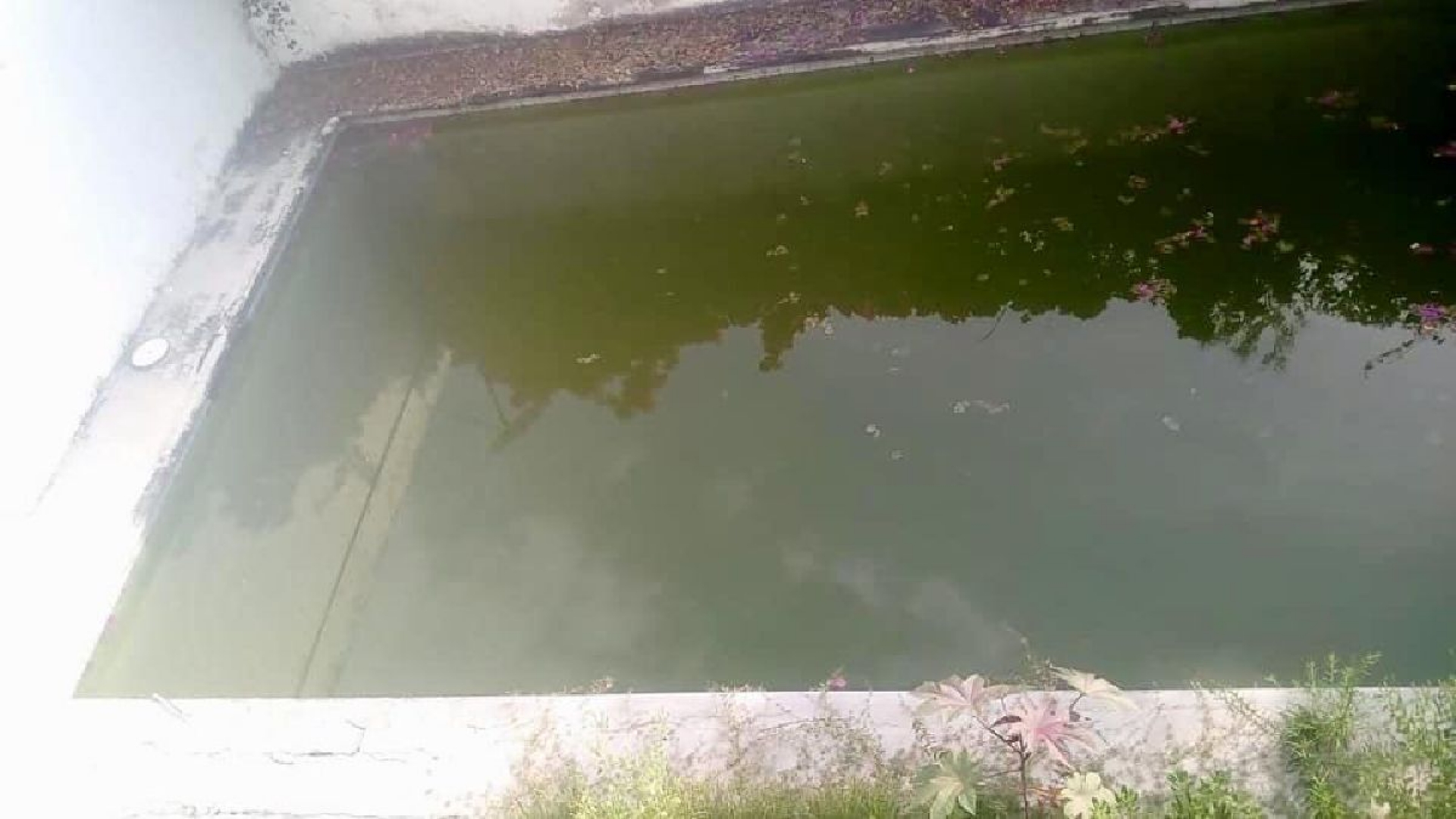 Surgen en la Fiscalía Regional Oriente criaderos del mosco transmisor del Dengue