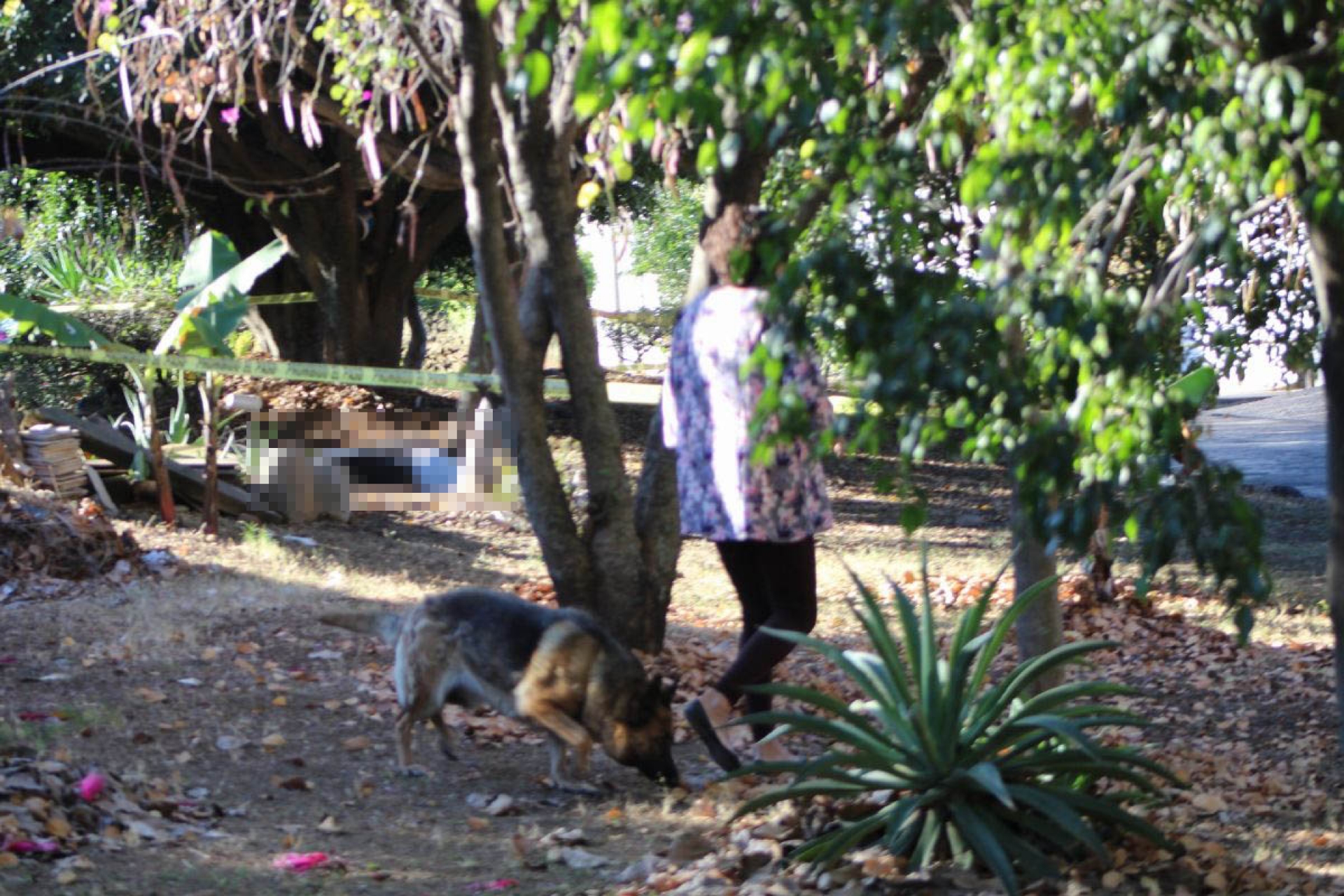 Encontró un cadáver mientras paseaba a su perro