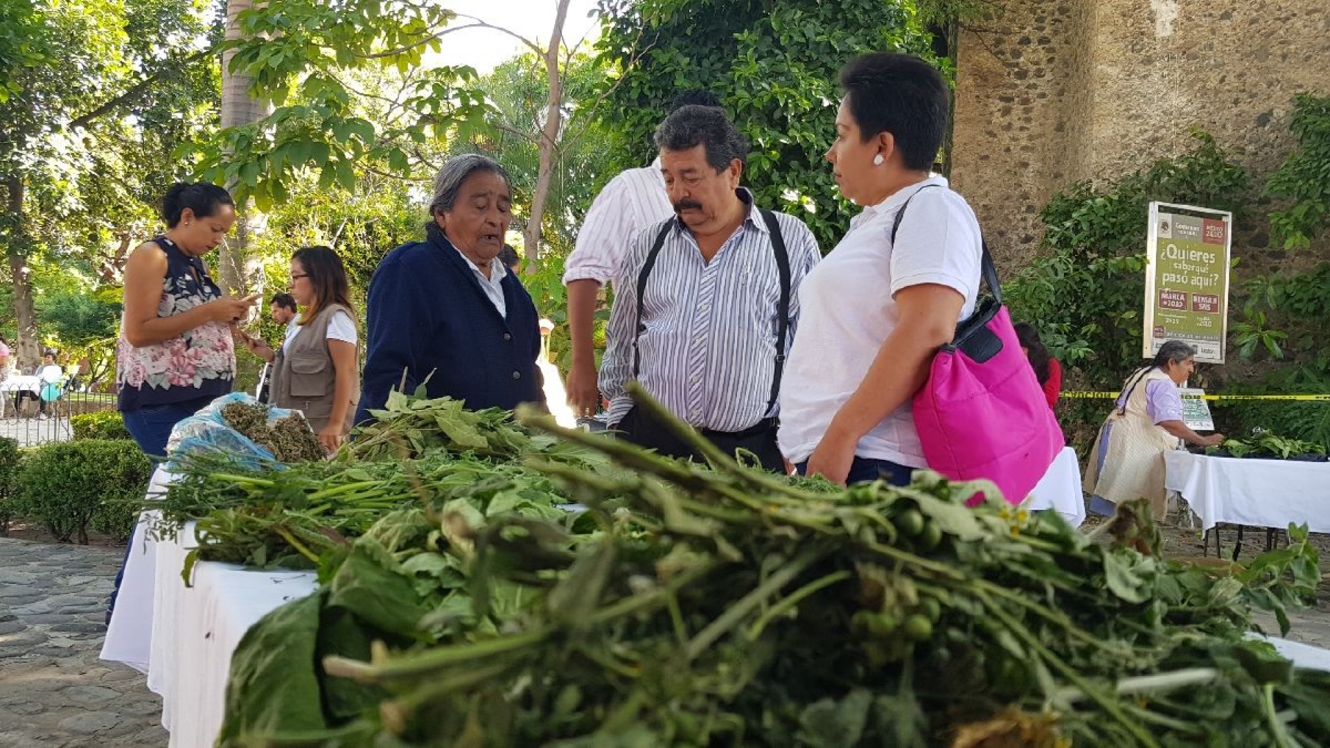 Llevan a cabo la “Feria de Salud de Medicina Tradicional” en Cuautla