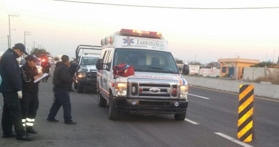 Murió atropellada al intentar cruzar la carretera