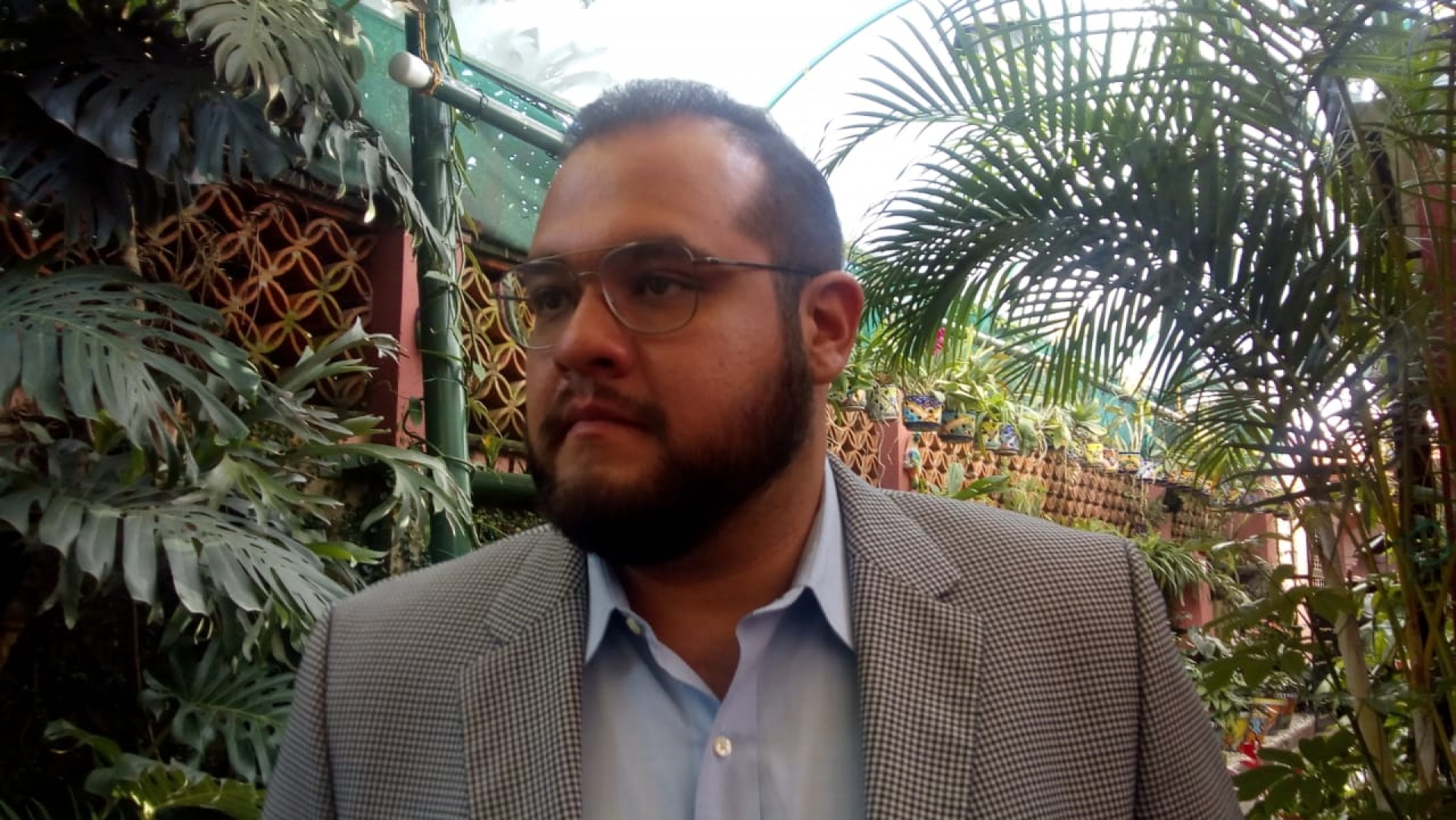Profeco inicia diversos procedimientos sancionadores