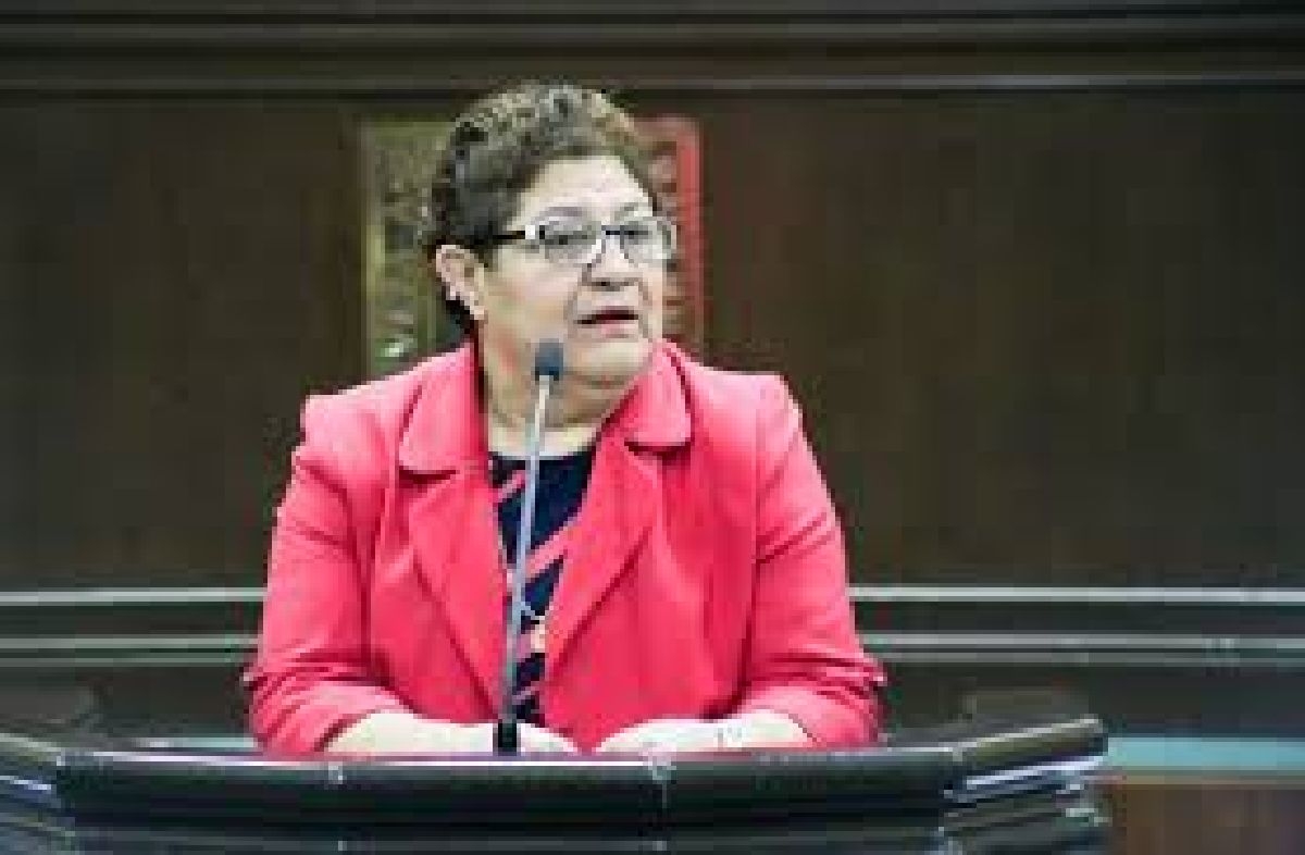 Critican ausencia de Leticia Beltrán en instalación de comisión de la familia