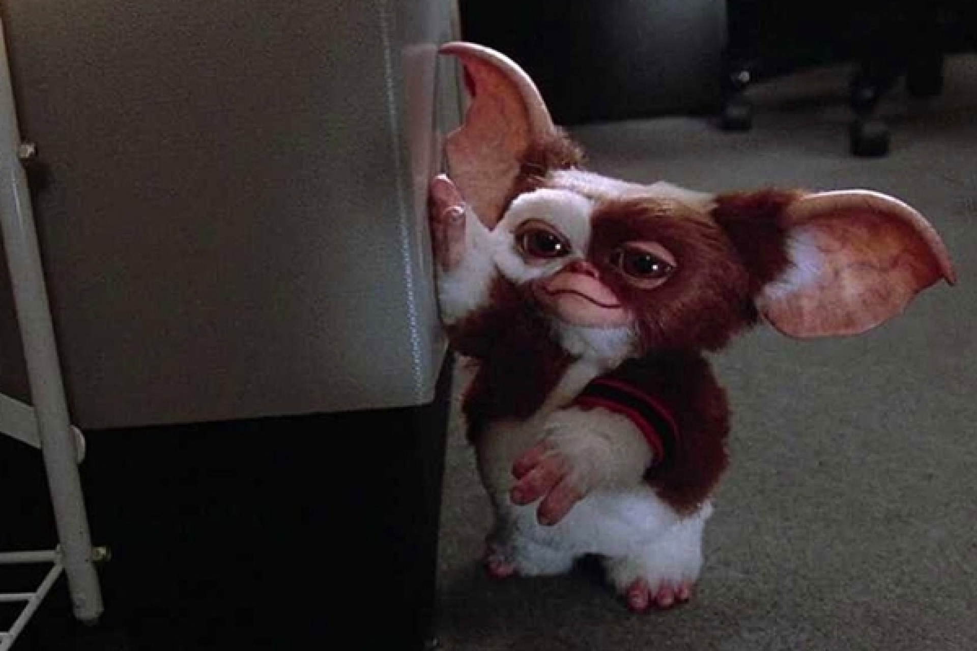 Steven Spielberg podría dirigir 'Gremlins 3', la esperada secuela que reviviría la icónica franquicia de los 80