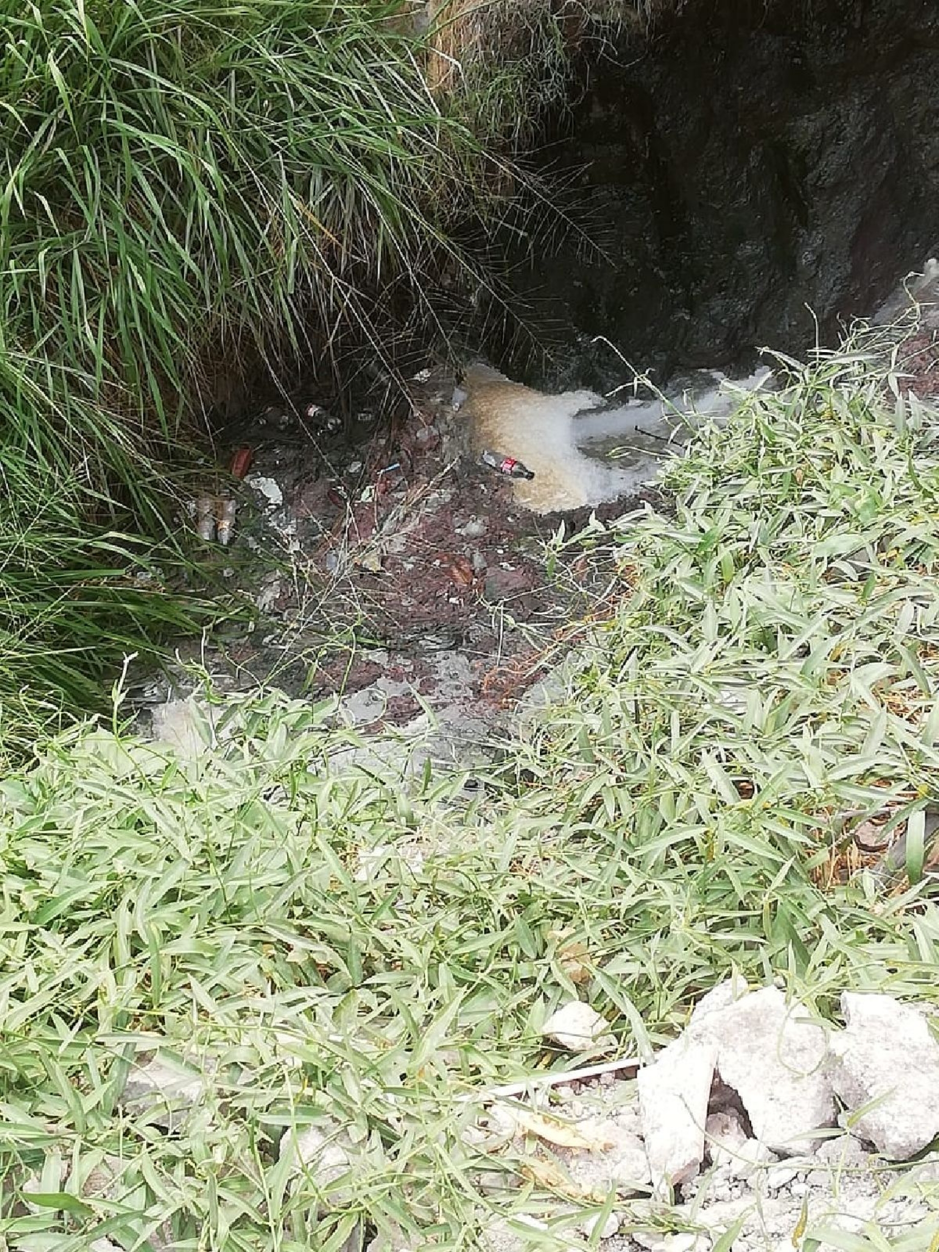 Muy alta la contaminación por aguas negras en Puente de Ixtla