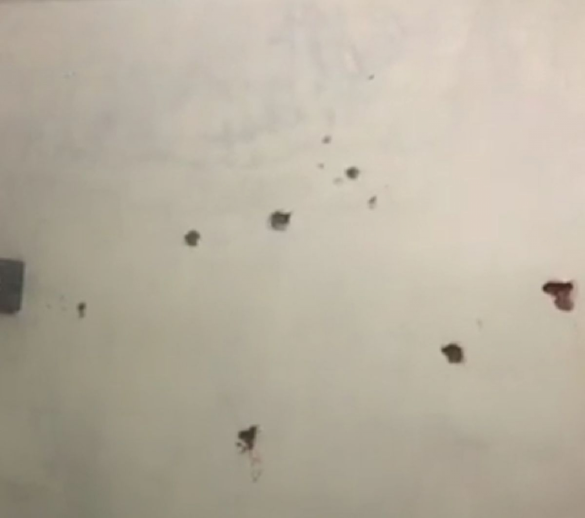 Balean oficina y domicilio del candidato independiente de Axochiapan