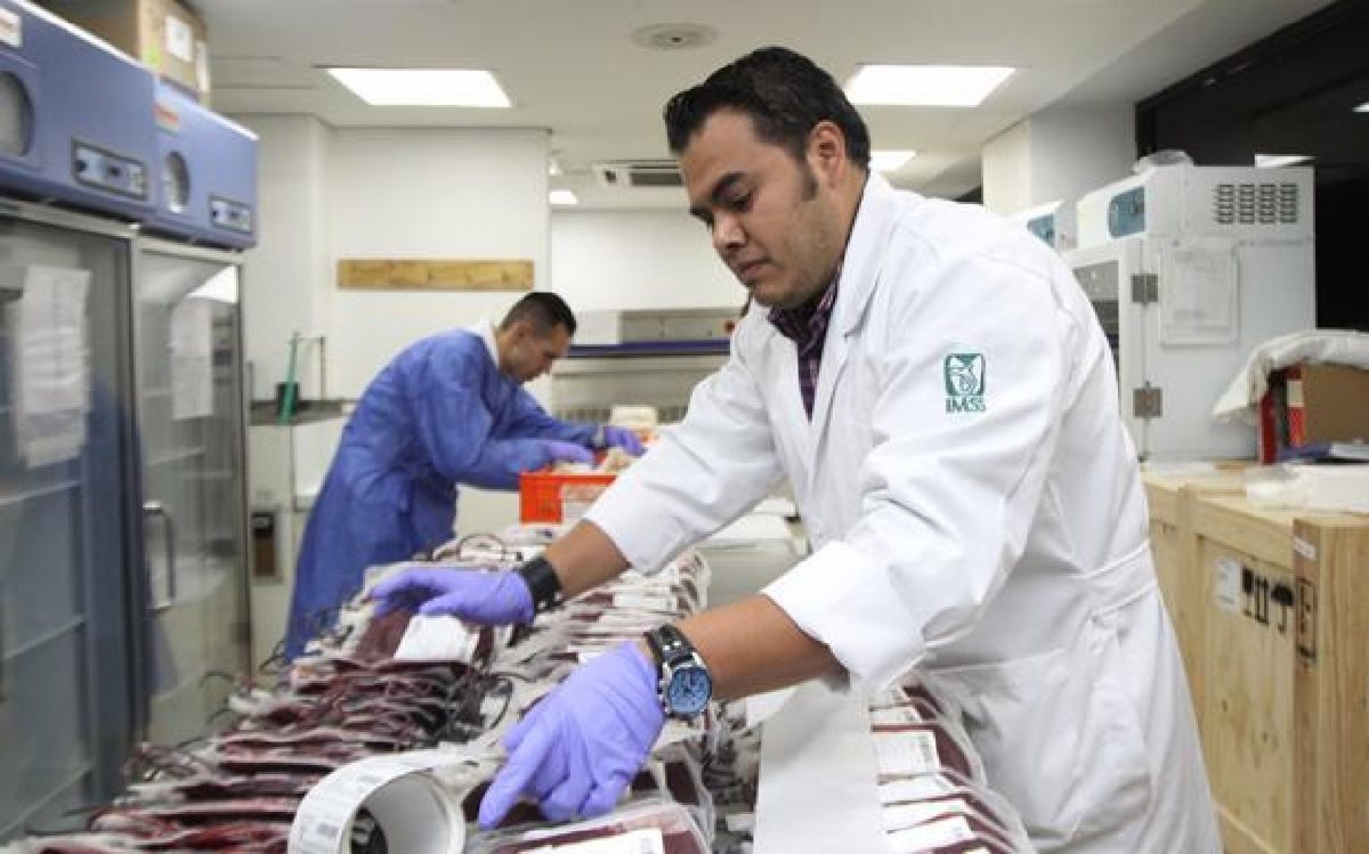 Hemofilia, enfermedad que afecta en mayor medida a los hombres: IMSS Morelos