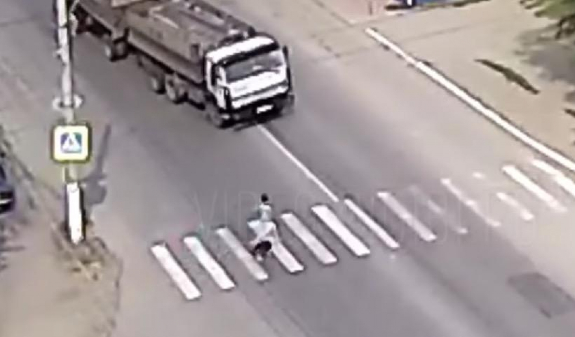 VIDEO: Un perro salva a su dueña de morir atropellada