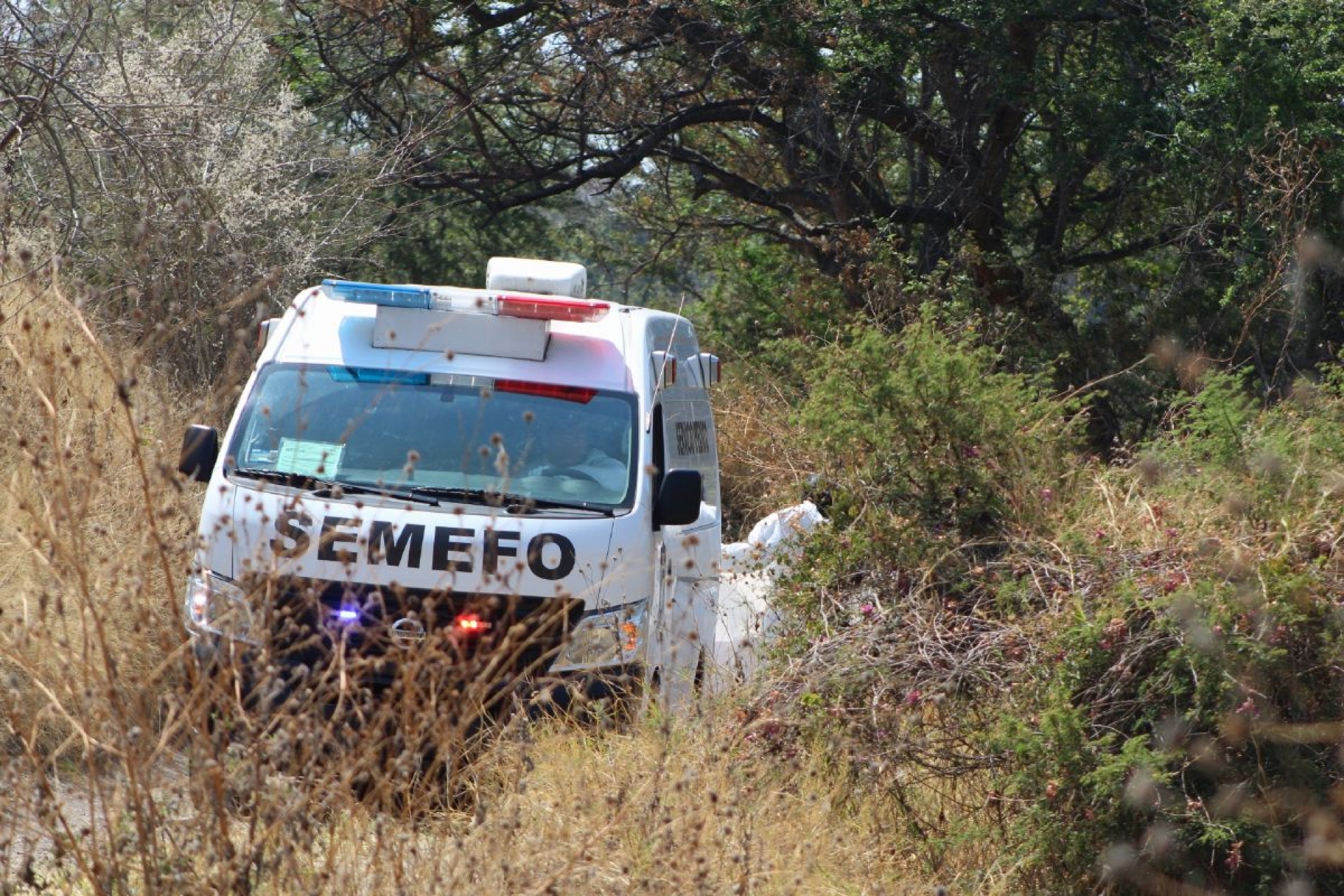 Lo asesinaron la mañana del domingo