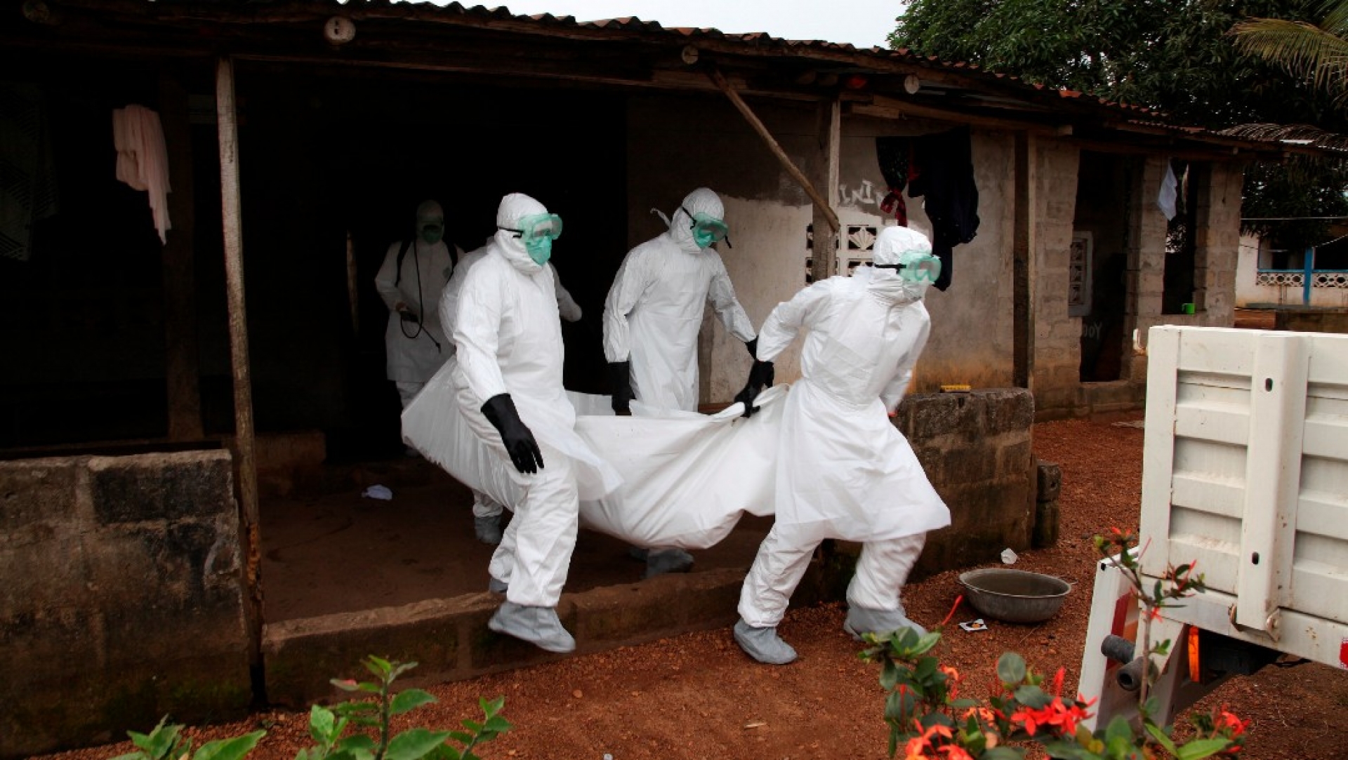 OMS alerta a seis países africanos tras brotes de ébola