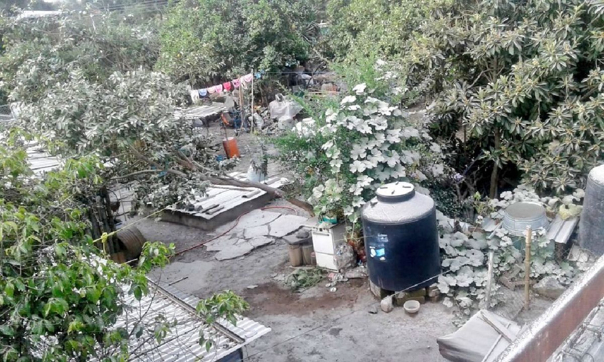 Municipios de la región oriente son bañados por ceniza del Popocatépetl