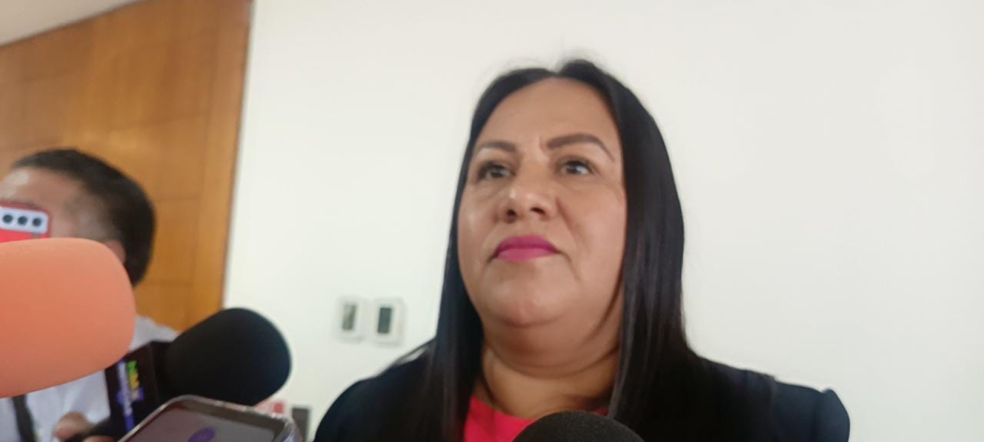 Diputados continúan sin definir juicio de procedencia en contra de la diputada Tania Valentina Rodríguez