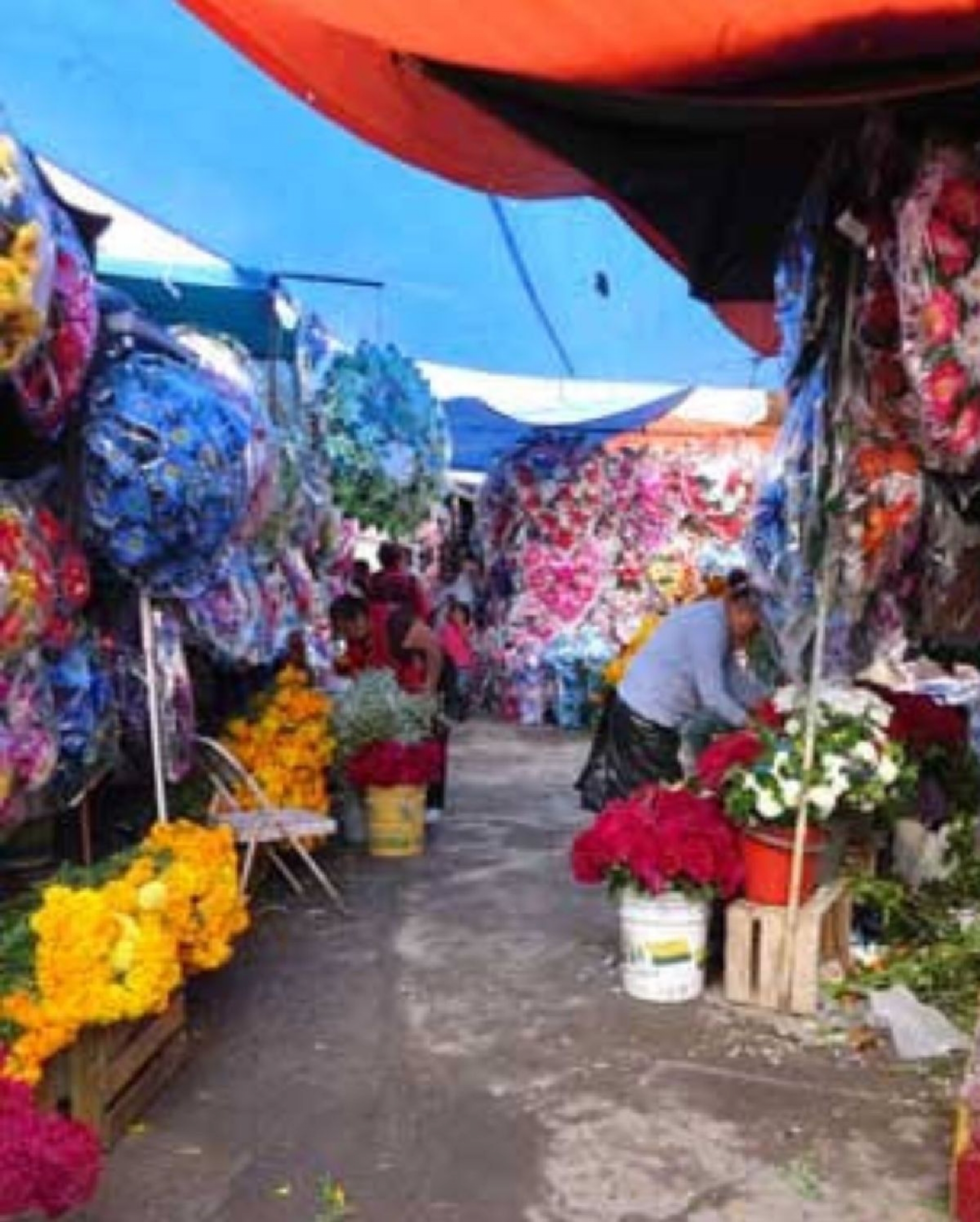 Ciudadanos de la región oriente se alistan para la temporada de los fieles difuntos