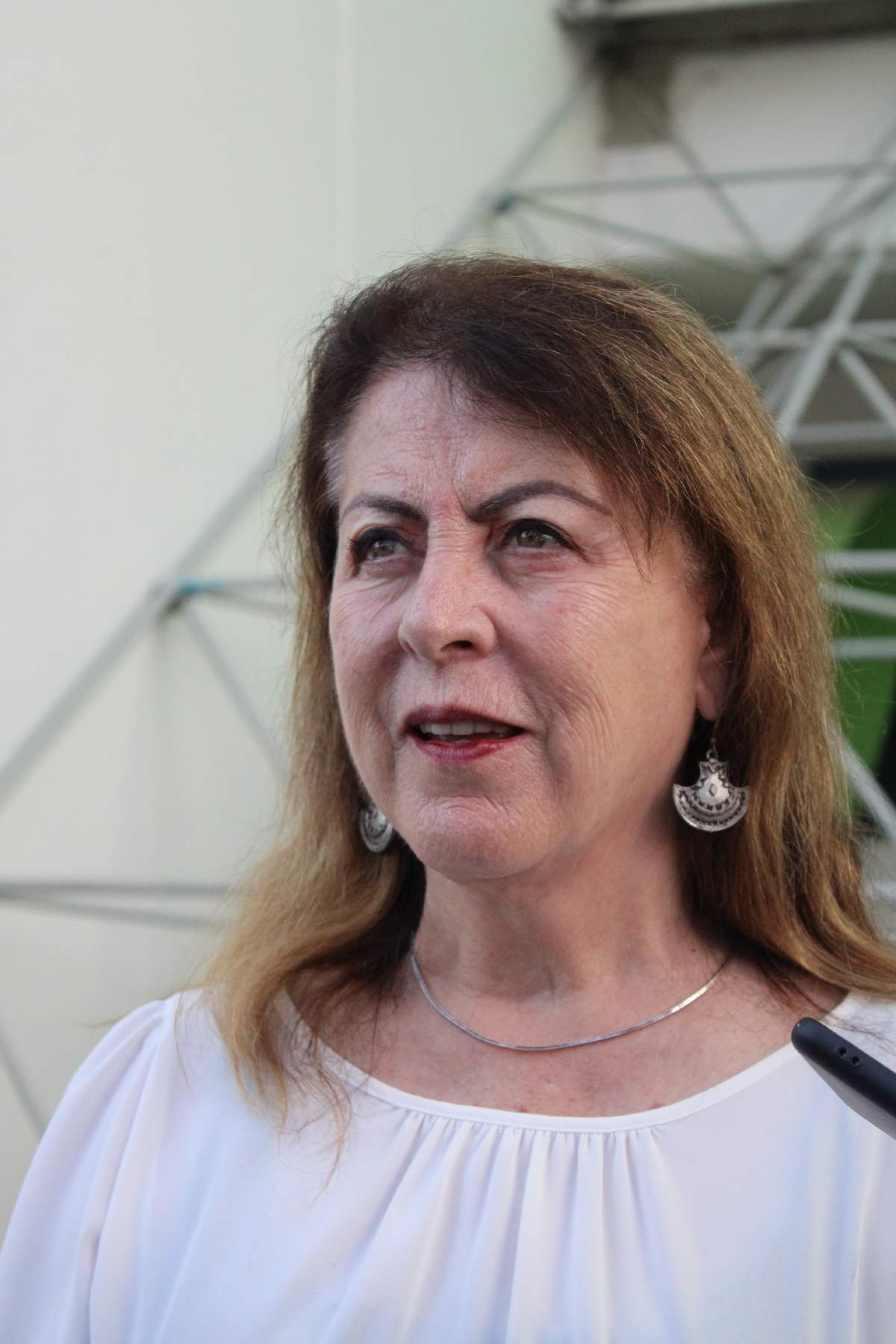Nos apegamos a la legalidad: Margarita González Saravia