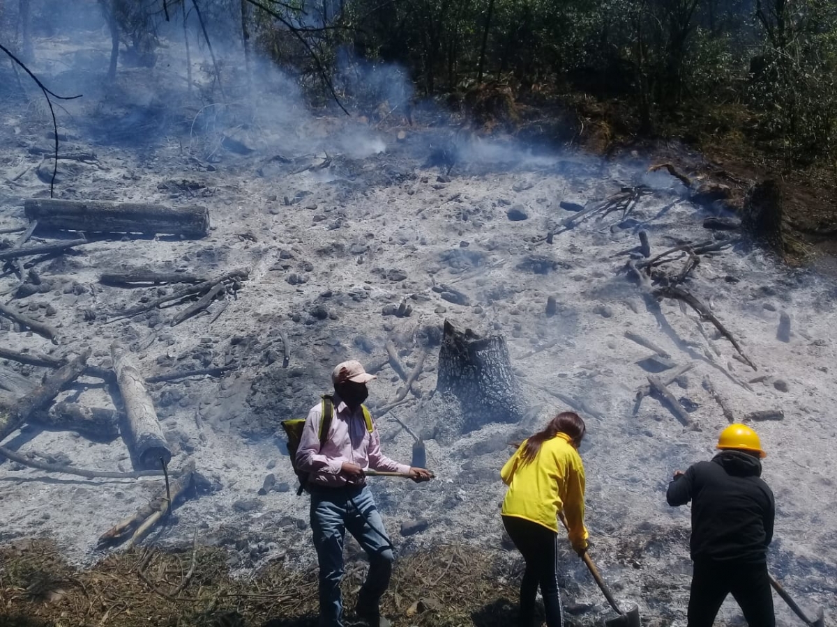 100% de control y liquidación en incendio forestal en paraje 'La Gloria': EEMI