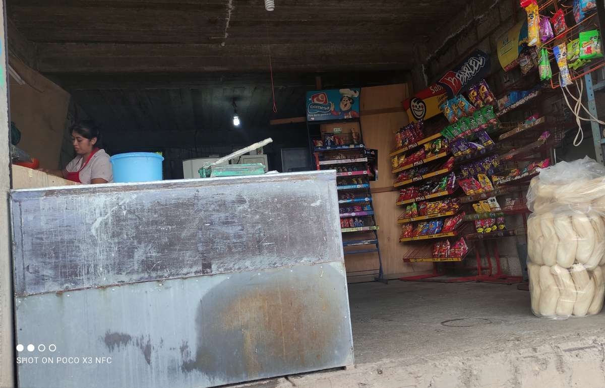 Buena cosecha de maíz favorece su negocio