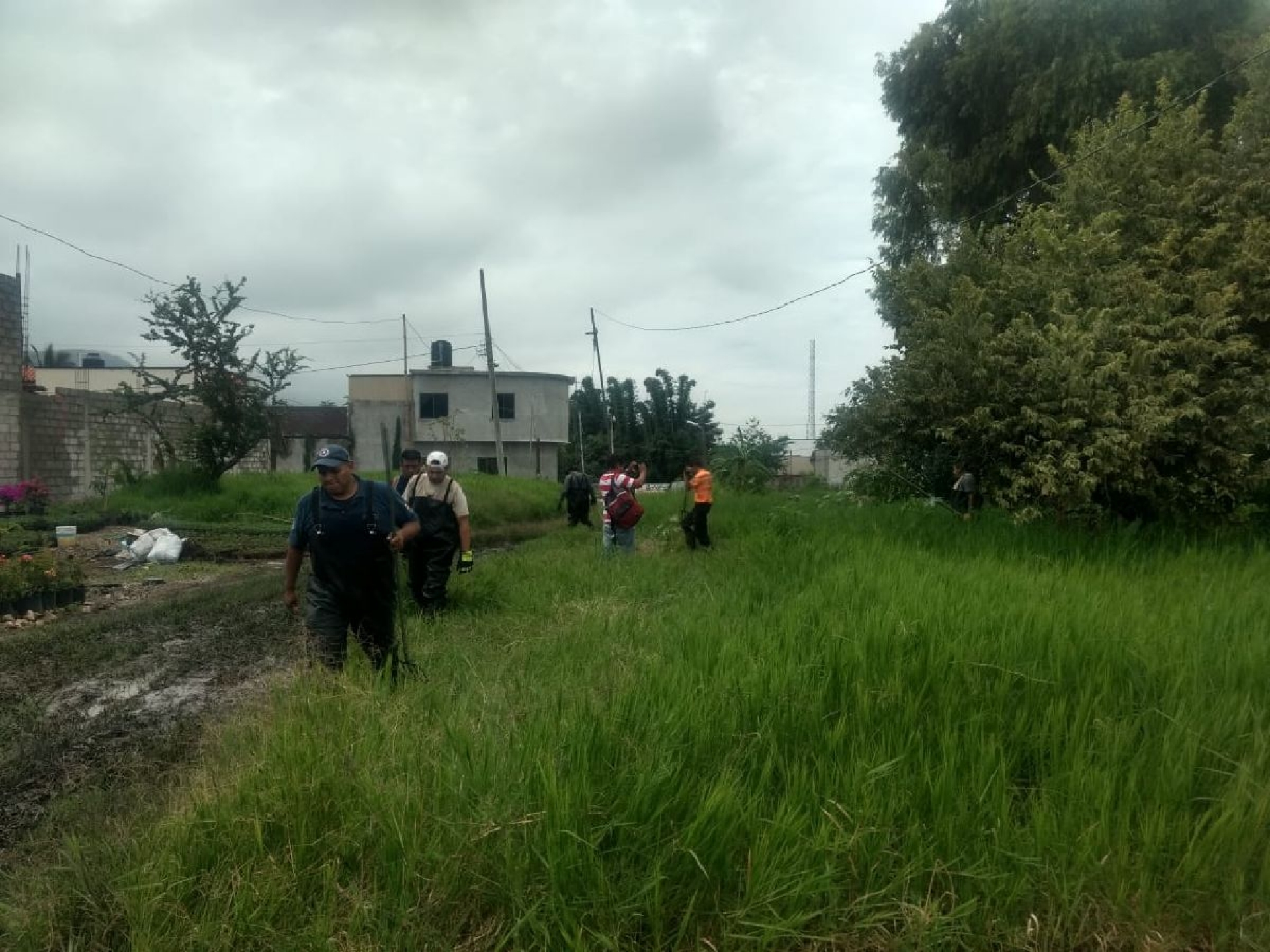 Busca PC un cocodrilo en barranca de Jiutepec