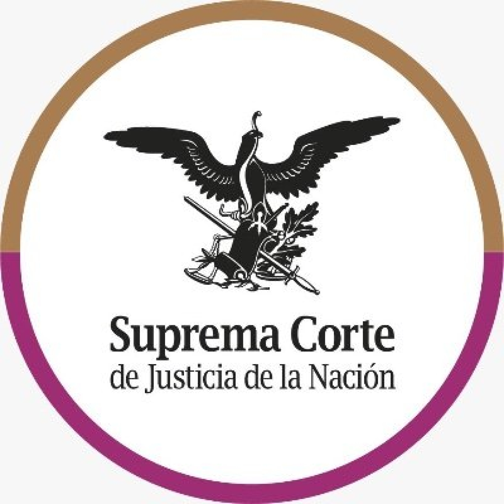 Publica Primera Sala de SCJN sentencia que vincula al Ejecutivo local para lograr despenalización del aborto