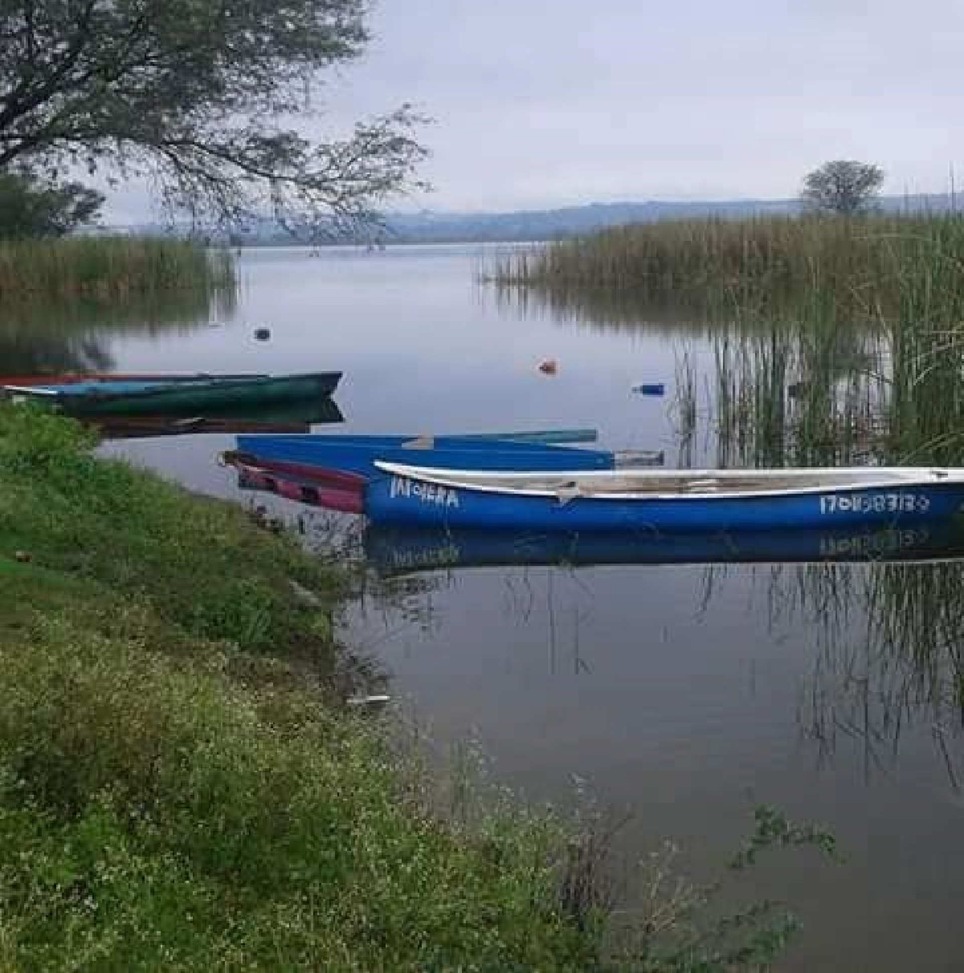Se acuerdan candidatos de los pescadores de Miacatlán: buscan su voto