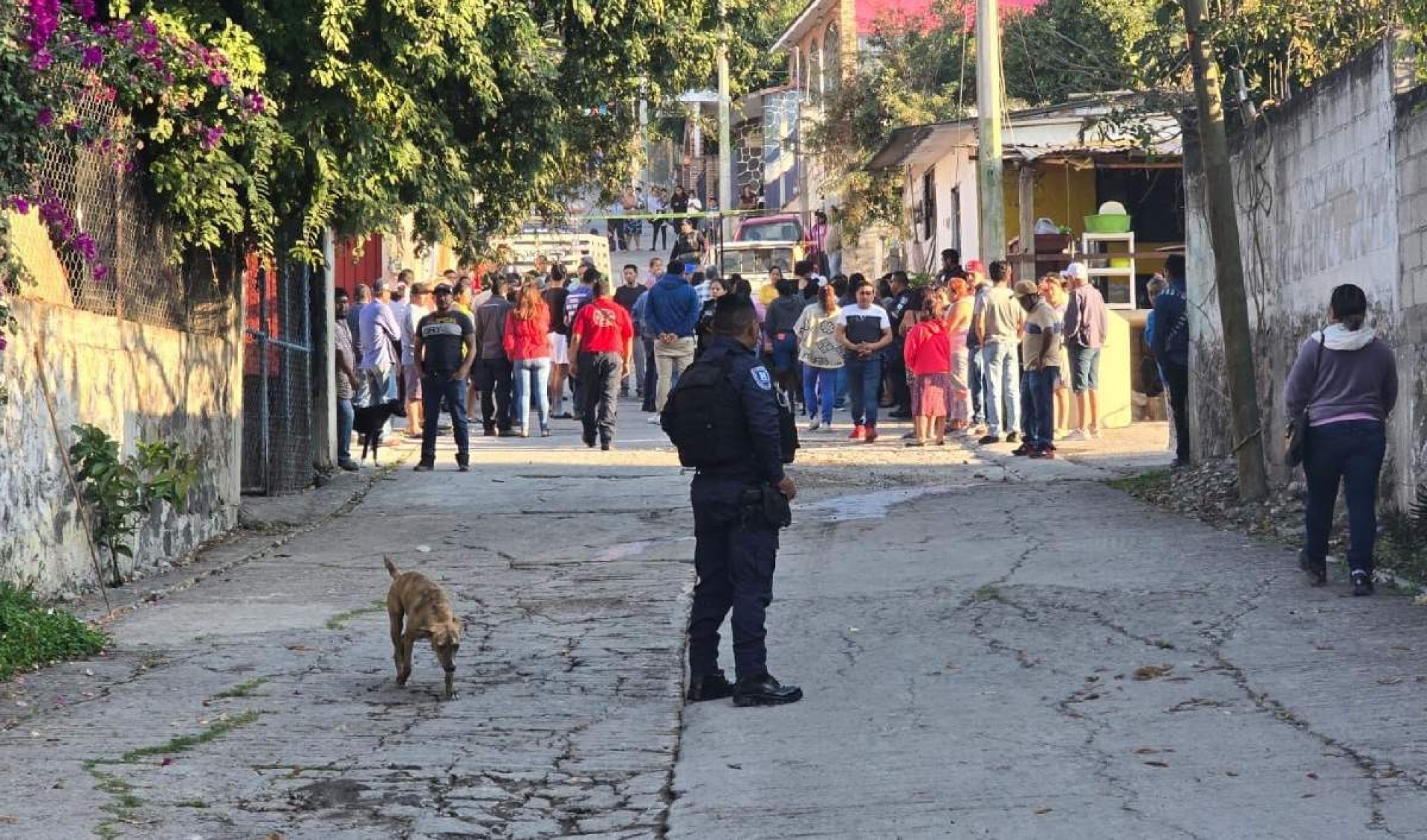 Matan a exayudante de la colonia Ignacio Bastida de Yautepec