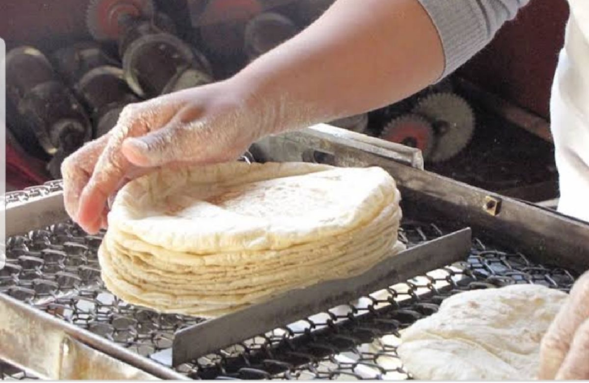 Preparan incremento al precio de la tortilla
