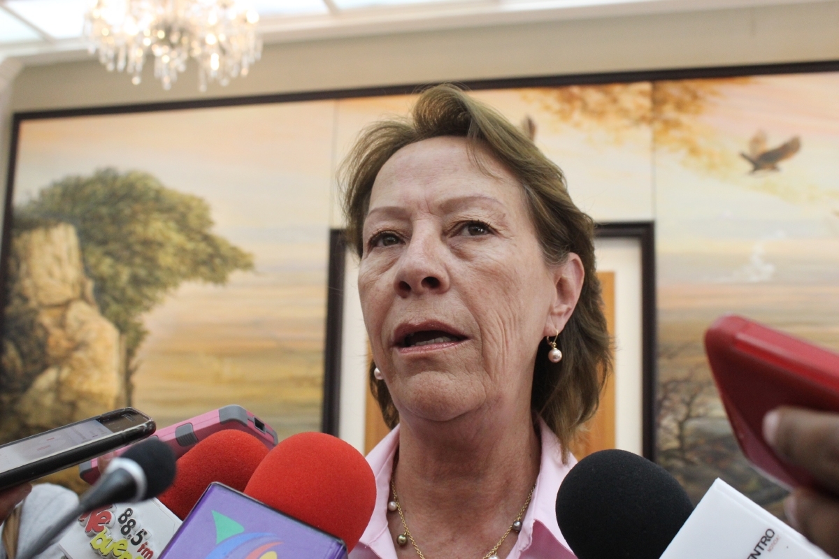 El IEBEM no recibió 60 millones de recursos para escuelas en 2015: SE