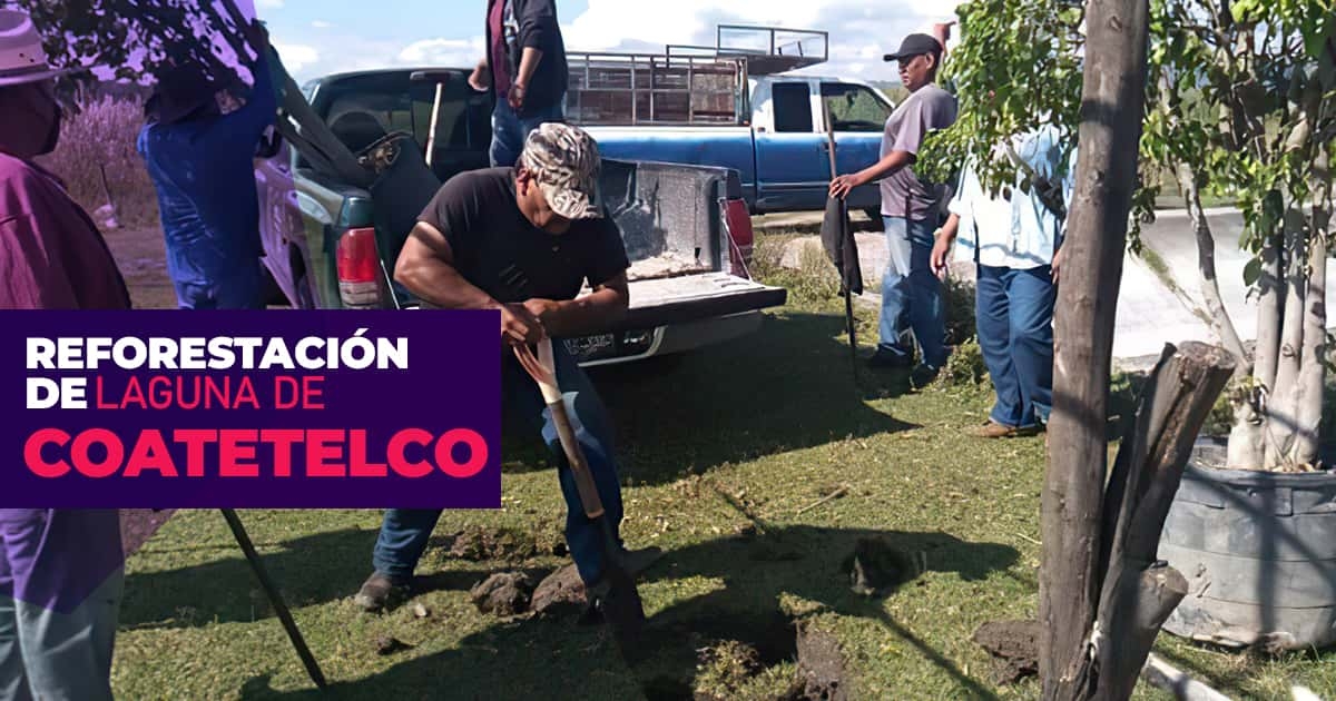 Inicia reforestación de terreno ubicado a orillas de la laguna de Coatetelco