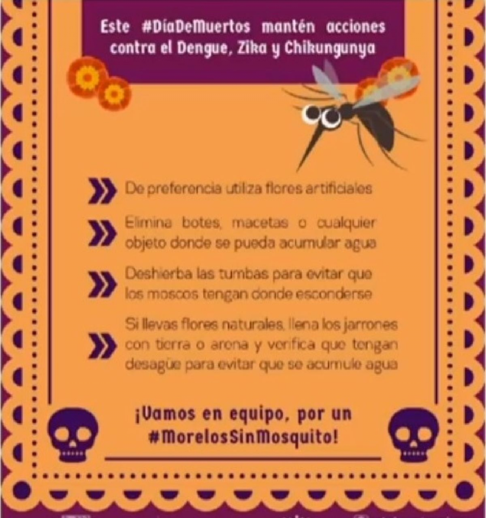 Municipios del sur acaparan primeros lugares en casos de dengue