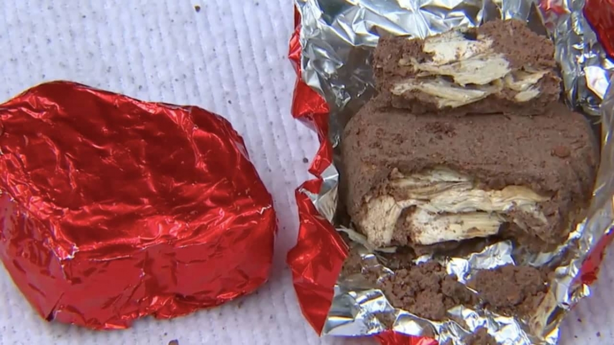 Chocohongos, droga de moda y de fácil acceso