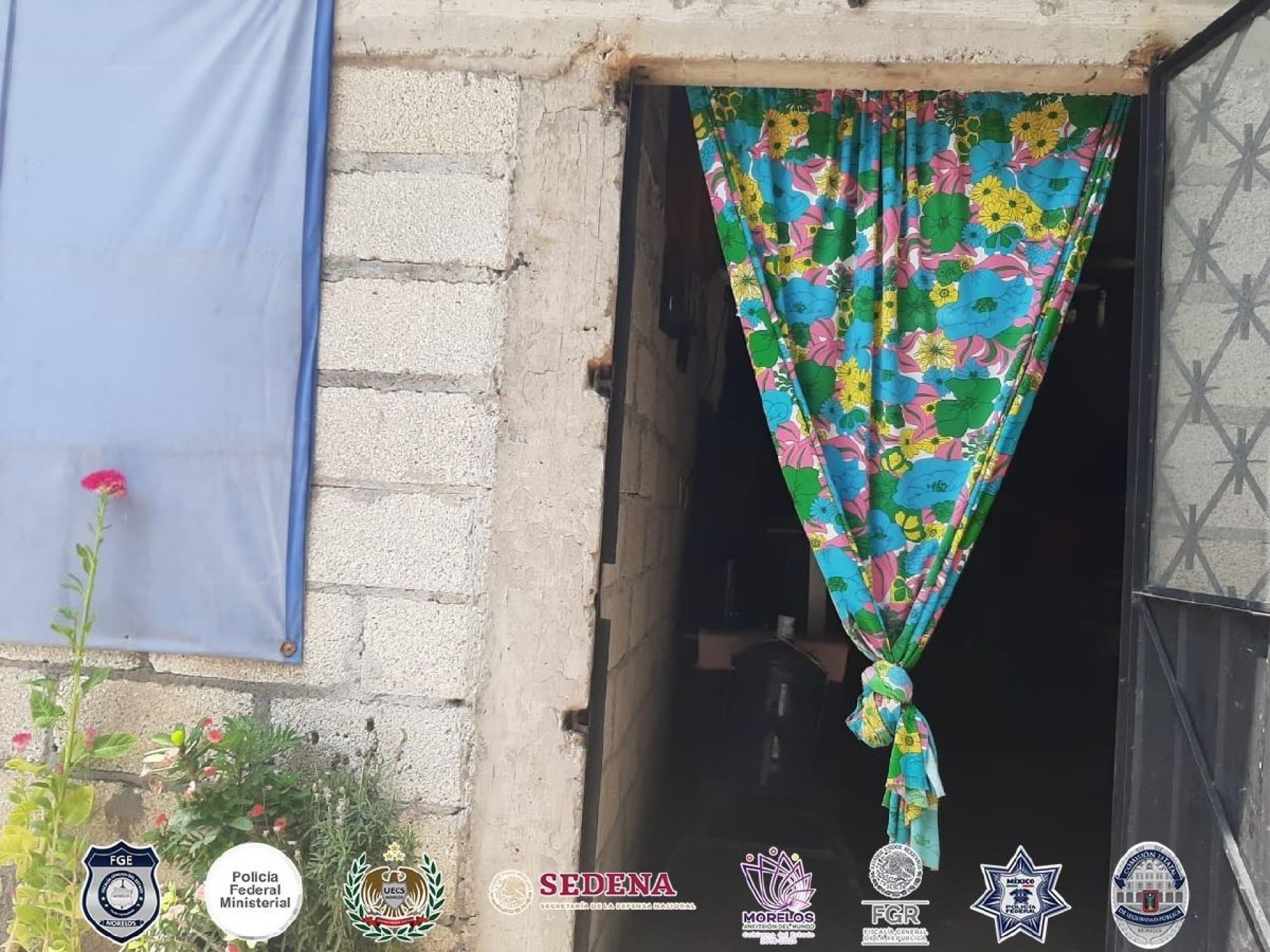 Detienen a joven durante cateo a una casa
