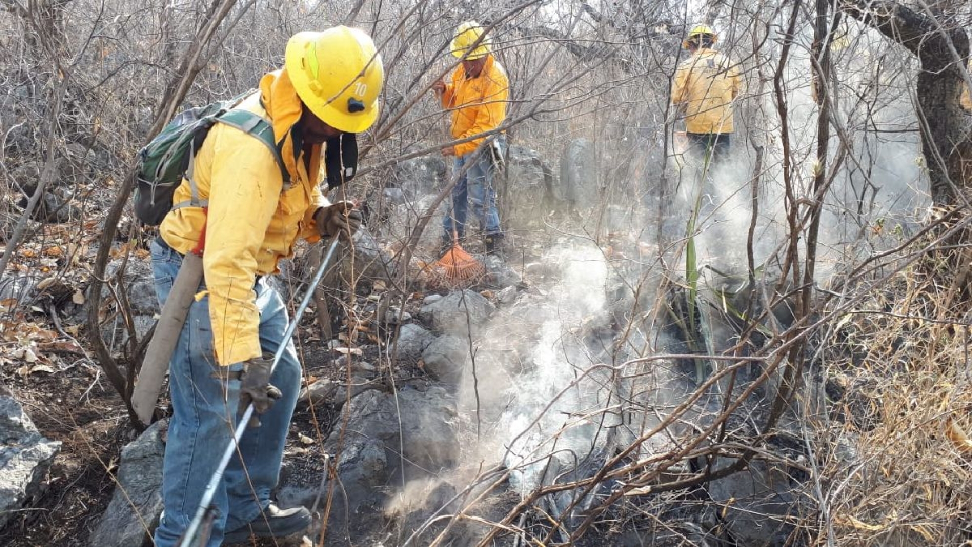De difícil control, el incendio en la barranca de El Tecolote