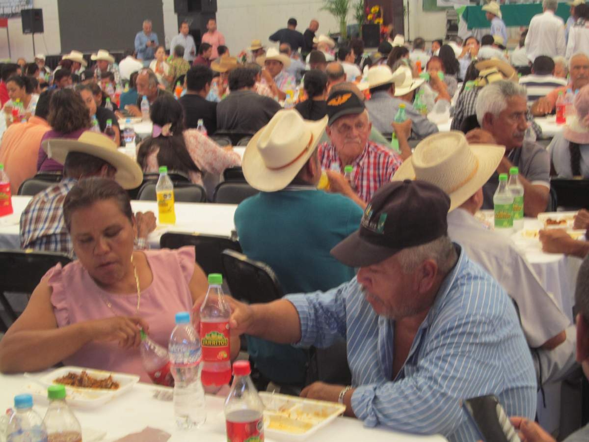 Bajó la producción de caña en el IEZ durante zafra pasada