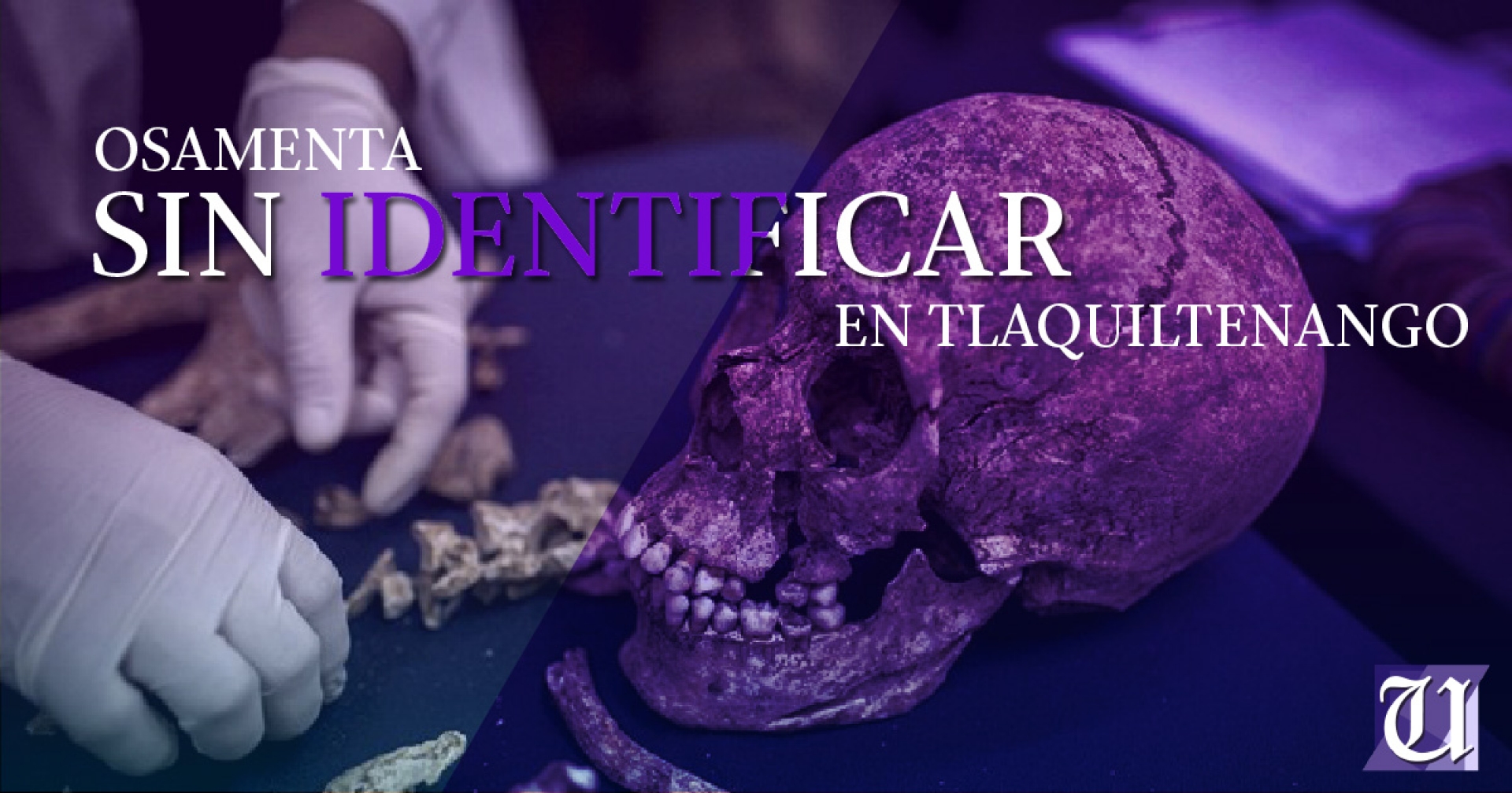 Hallan restos humanos en una fosa clandestina