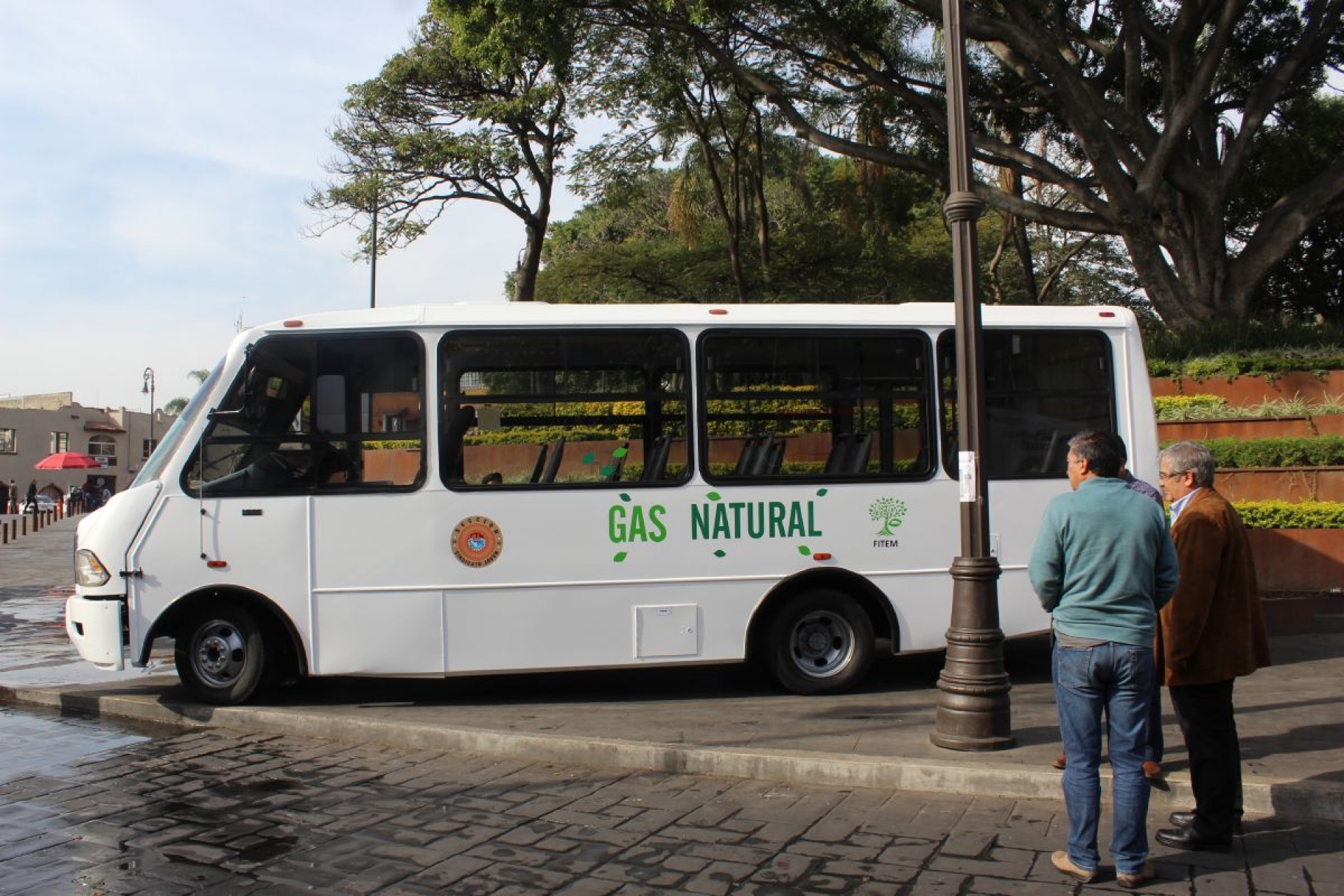 Serán renovadas 300 “rutas” en 2018: CTM