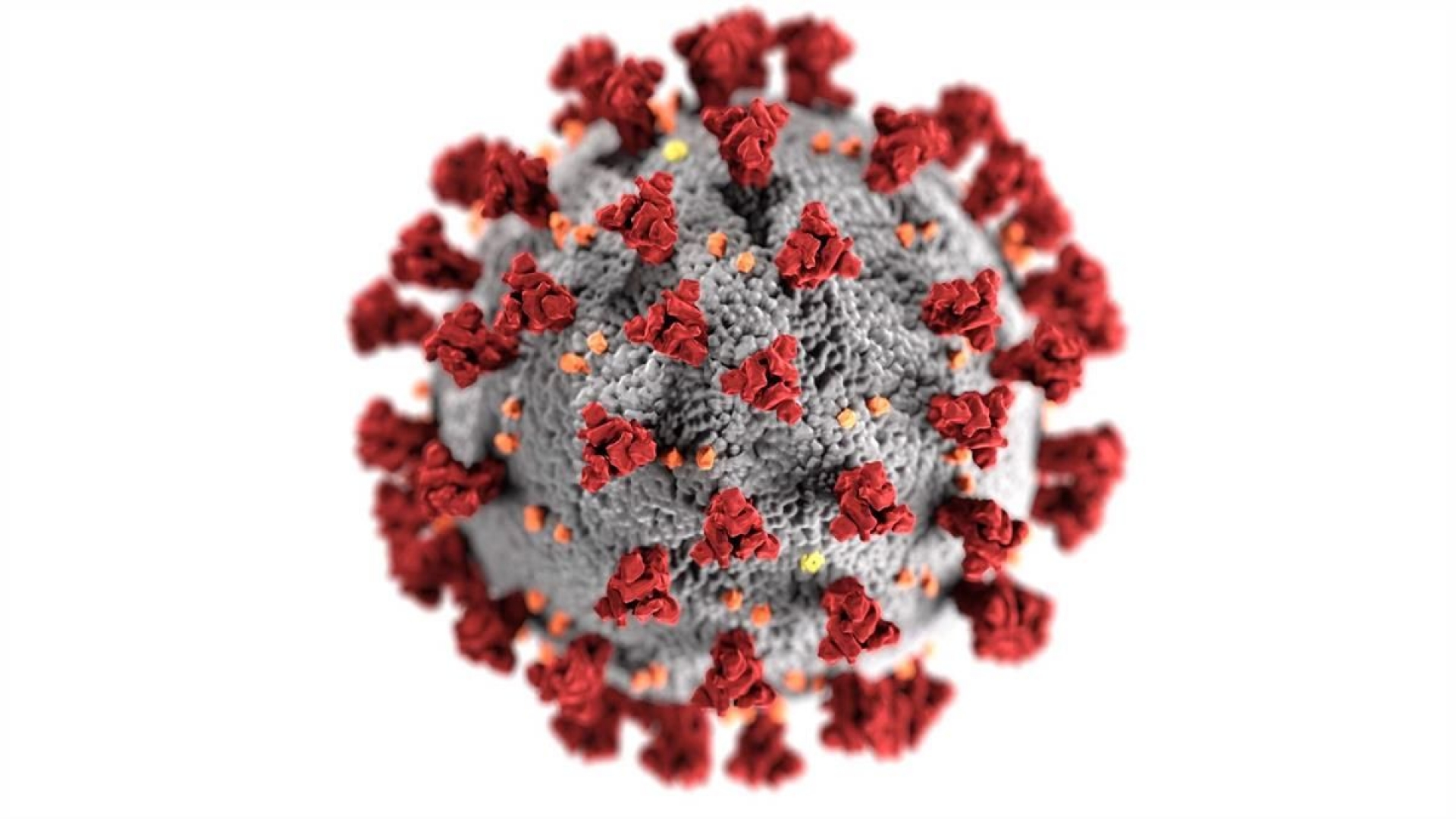 Investiga UAEM reacciones celulares ante infección por virus