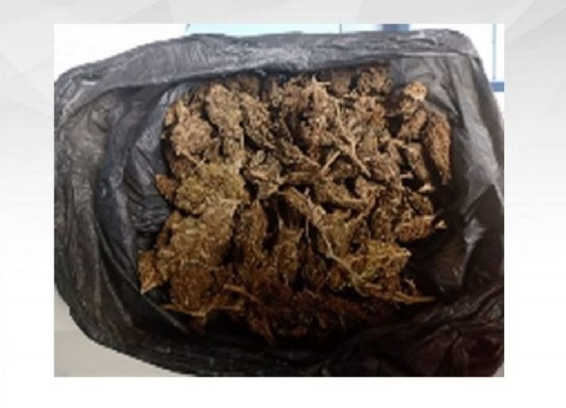 Lo descubrieron en poder de una bolsa de marihuana