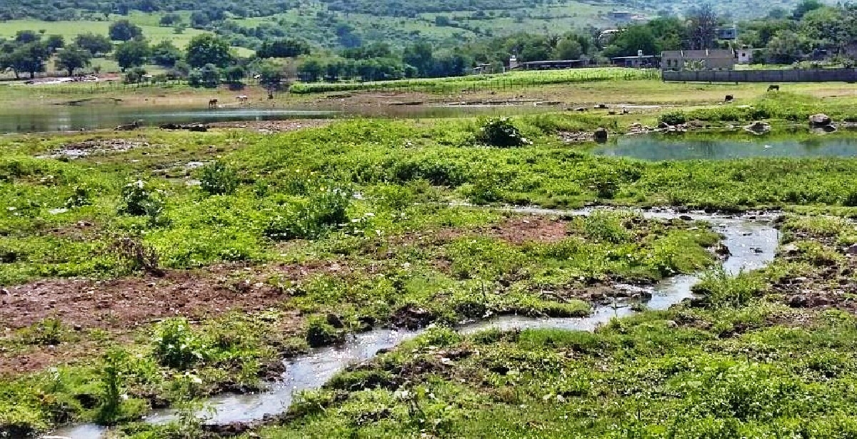 Temen contaminación por aguas negras en el pozo de la comunidad de Contlalco